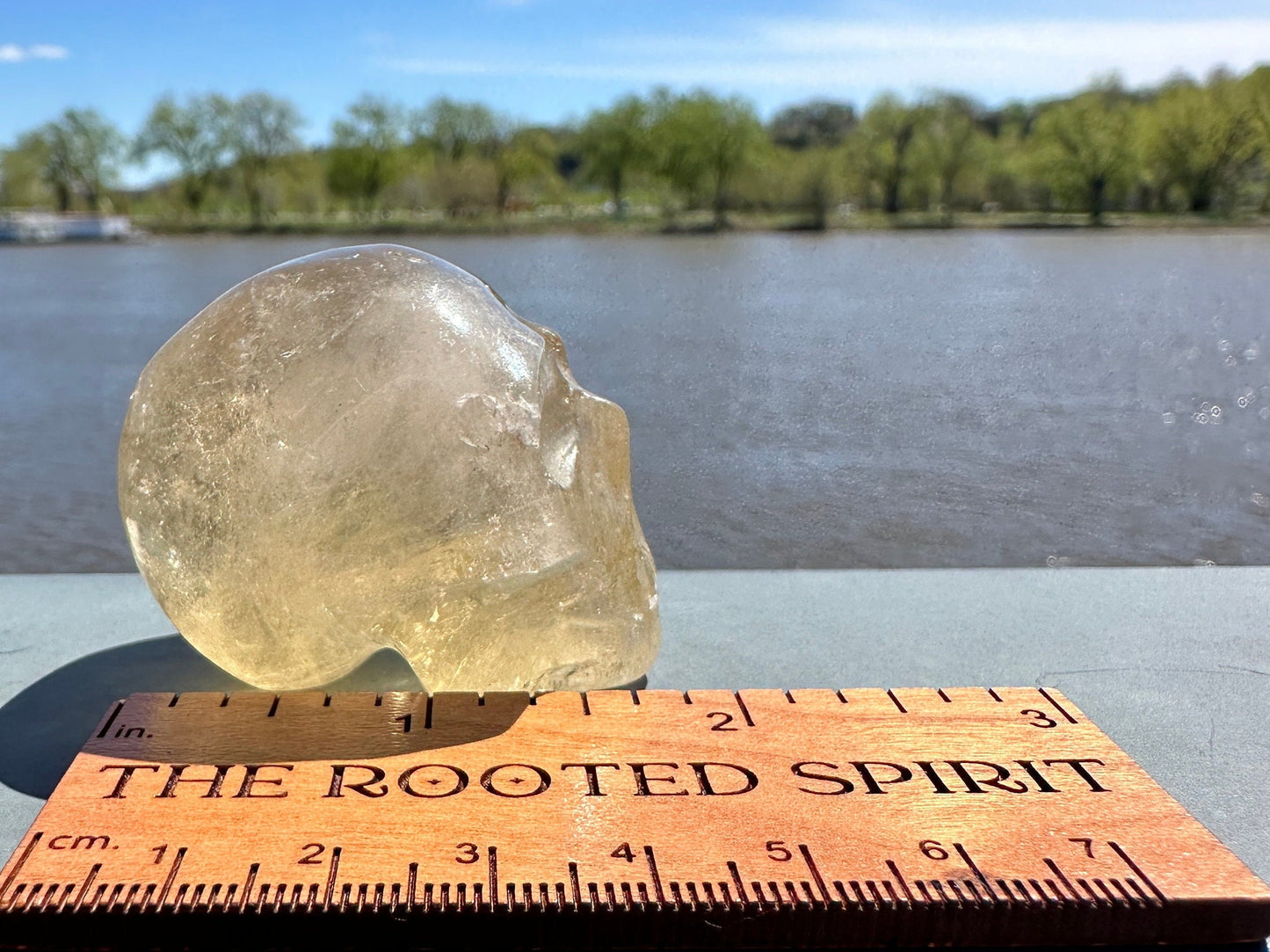 Citrine Skull Carving from Brazil