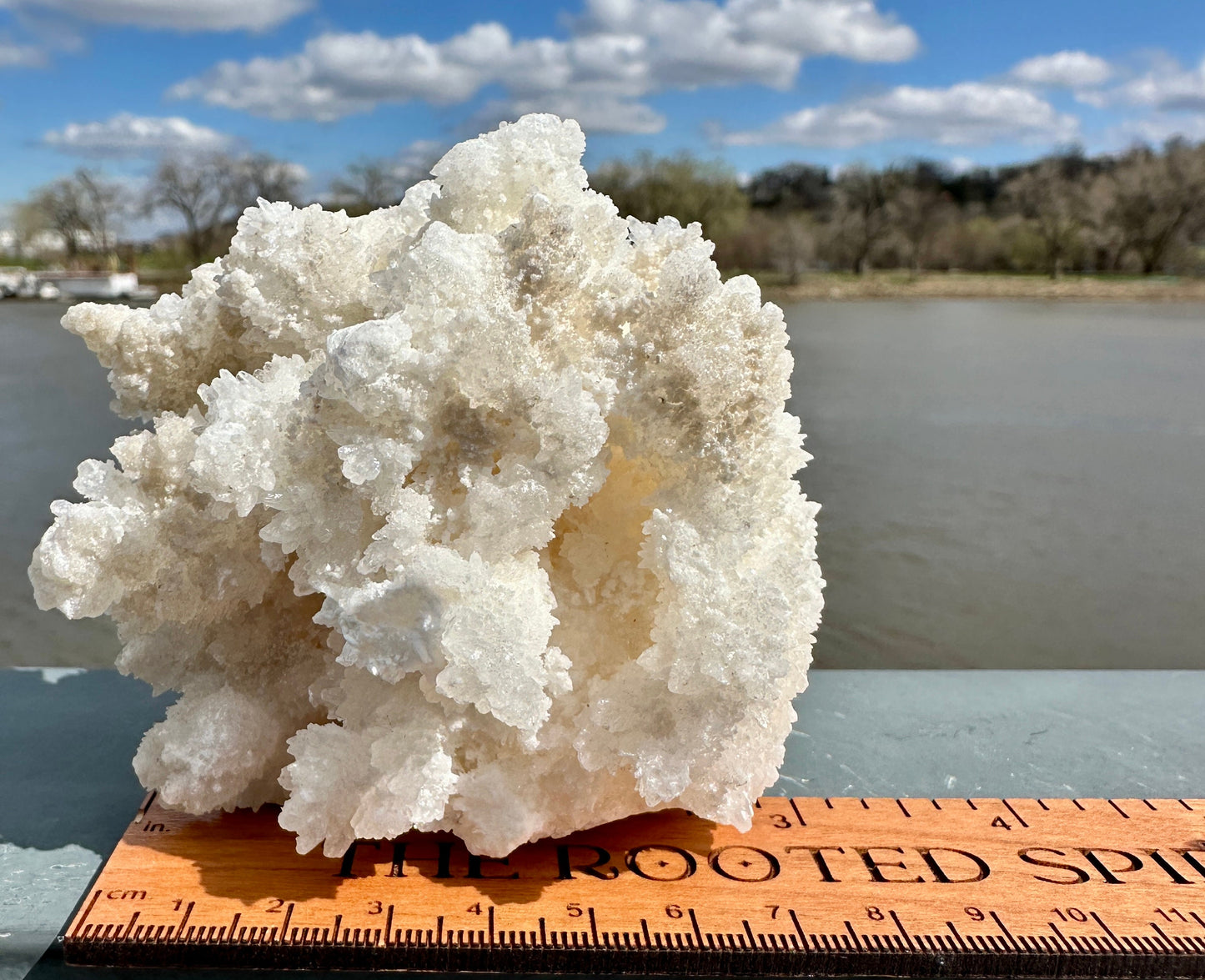 Beautiful White Raw Aragonite Cluster Natural Crystal from Mexico