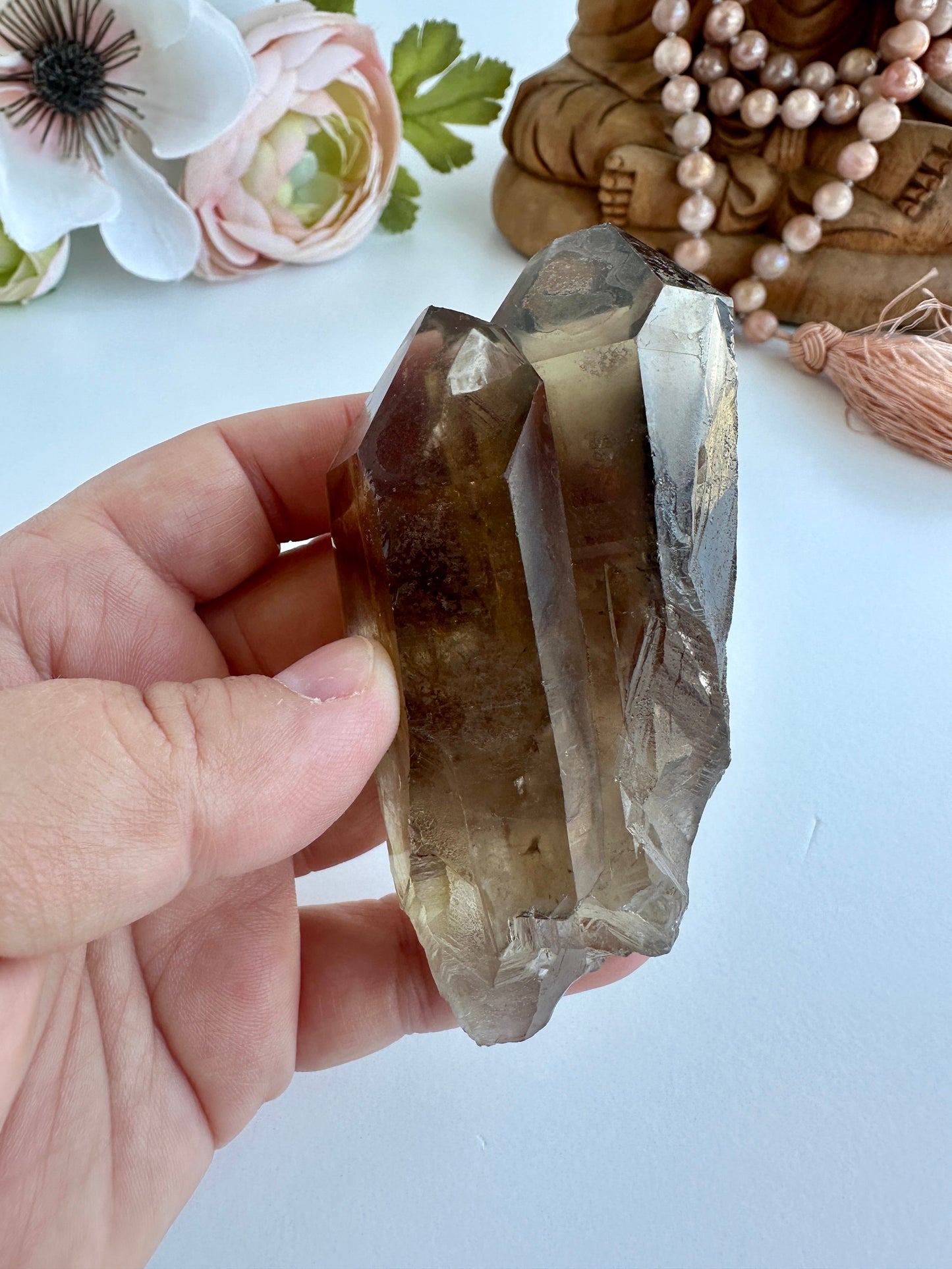 Special Raw Twin Smoky Lemurian Points | Rare Lemurian | Lemurian Point | Authentic Lemurian