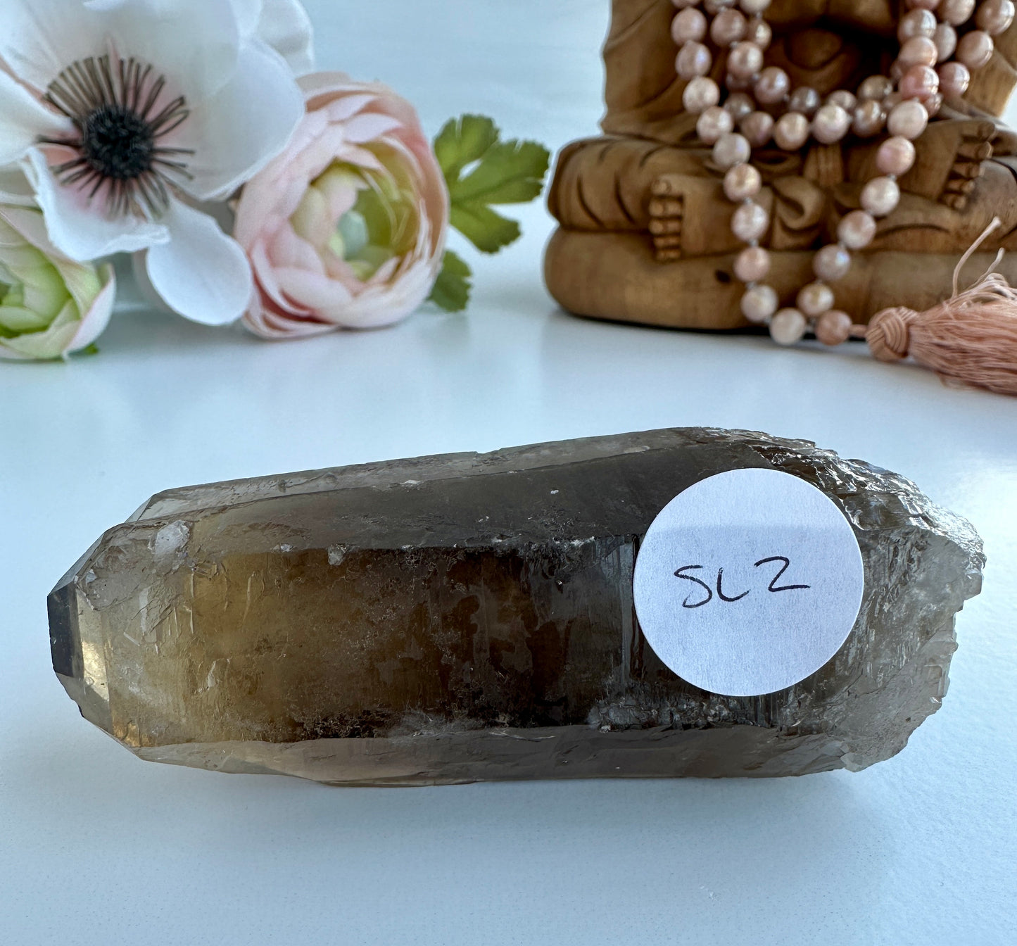 Special Raw Twin Smoky Lemurian Points | Rare Lemurian | Lemurian Point | Authentic Lemurian