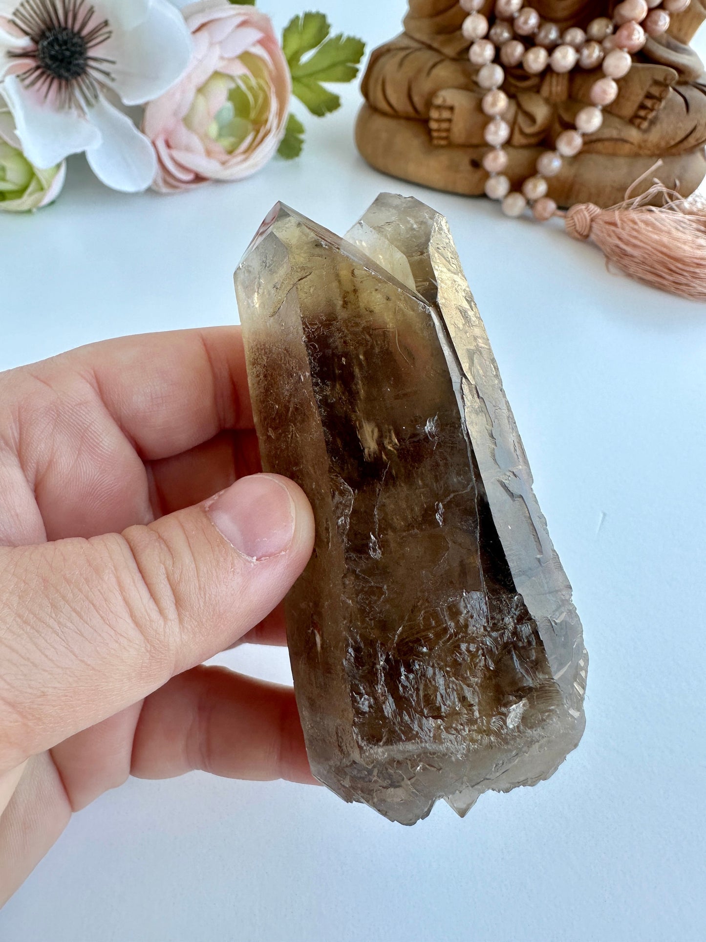 Special Raw Twin Smoky Lemurian Points | Rare Lemurian | Lemurian Point | Authentic Lemurian