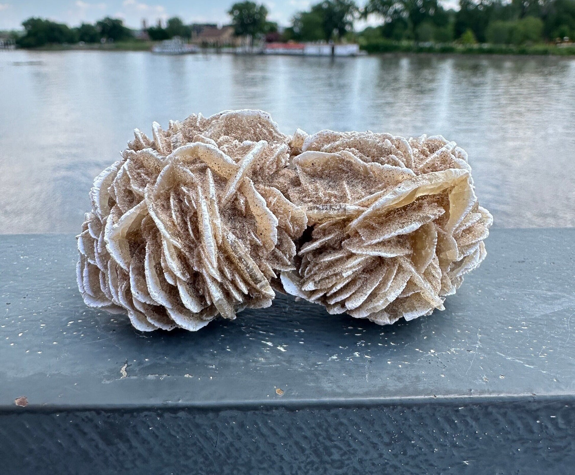 Pretty Raw Desert Rose Selenite Cluster