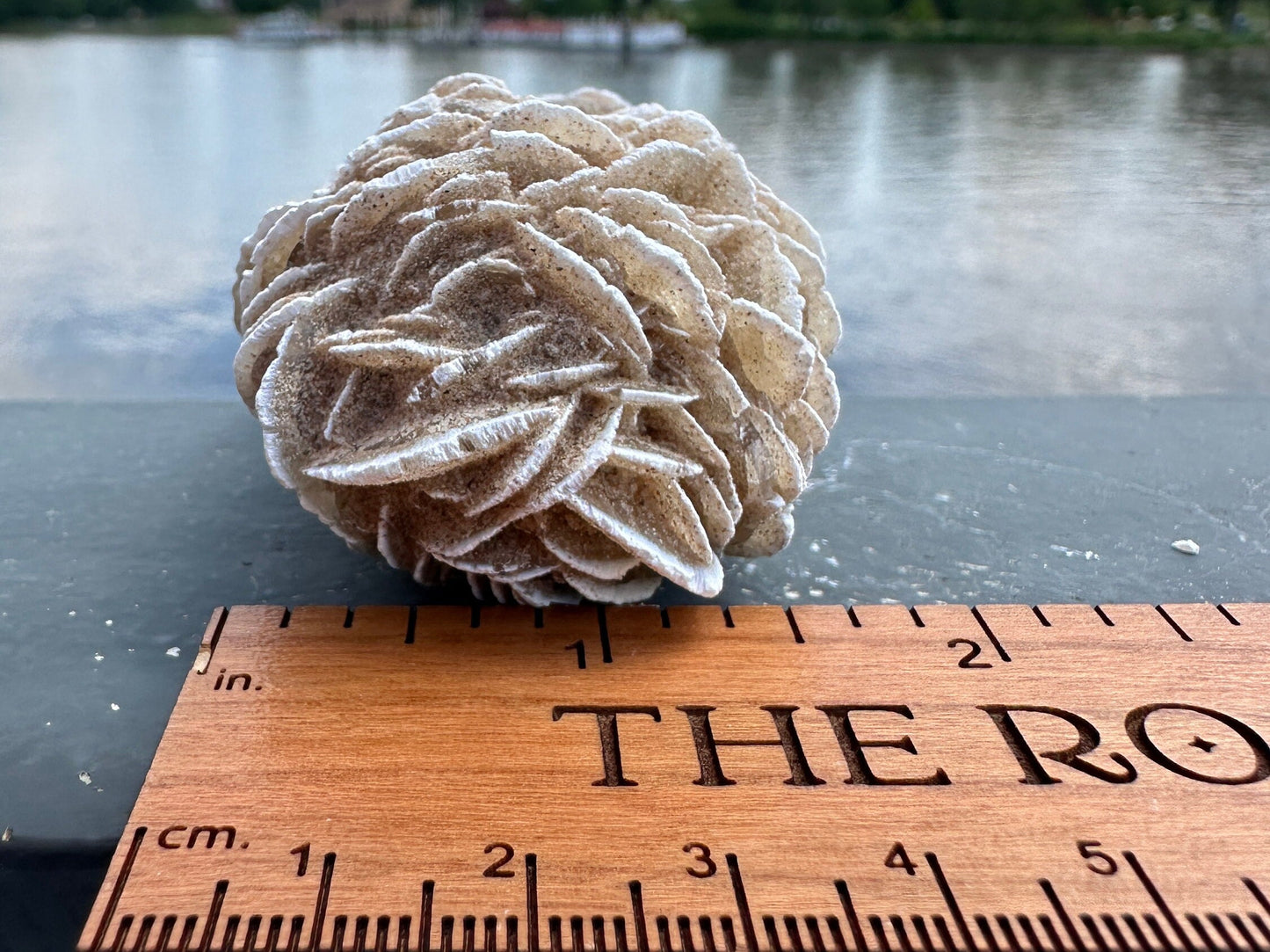 Pretty Raw Desert Rose Selenite Cluster