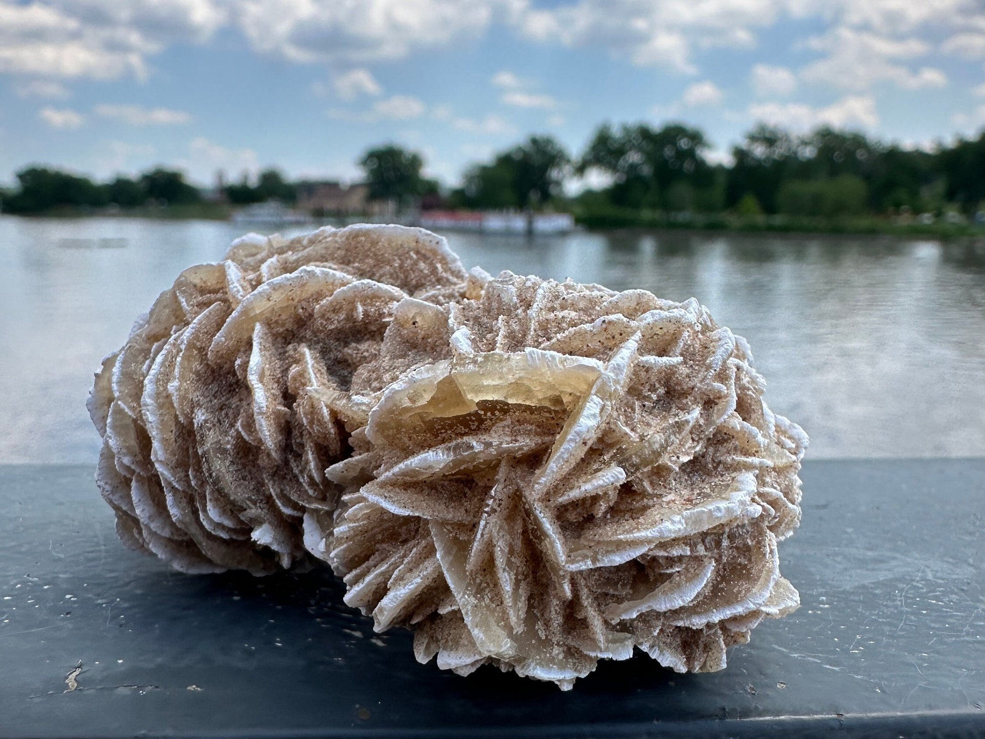 Pretty Raw Desert Rose Selenite Cluster