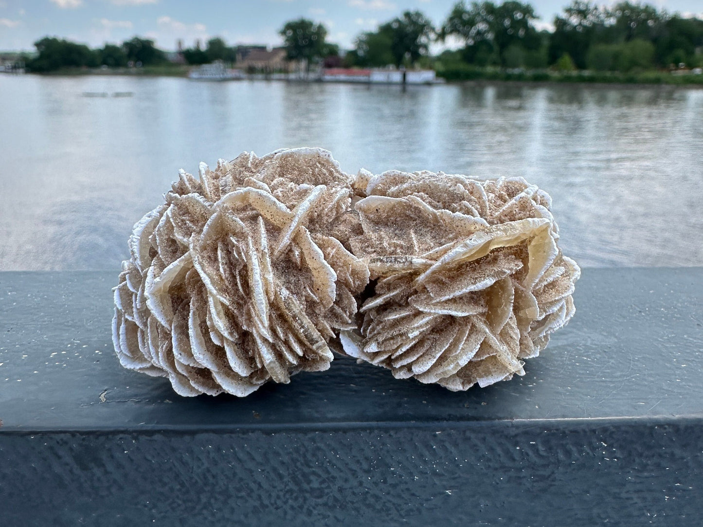 Pretty Raw Desert Rose Selenite Cluster