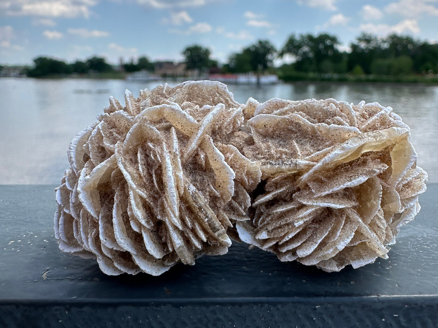 Pretty Raw Desert Rose Selenite Cluster