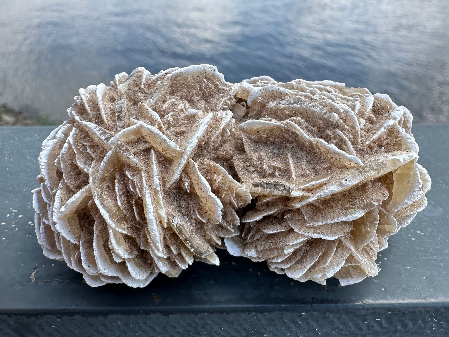 Pretty Raw Desert Rose Selenite Cluster