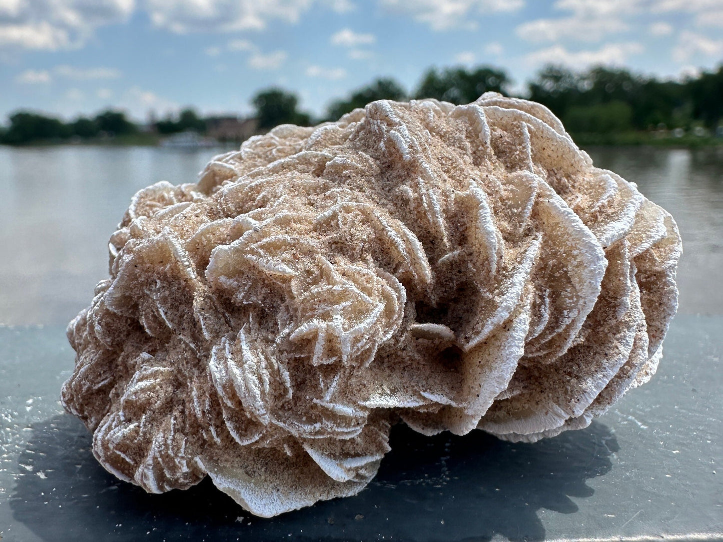 Pretty Raw Desert Rose Selenite Cluster