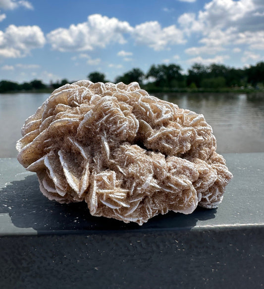 Pretty Raw Desert Rose Selenite Cluster