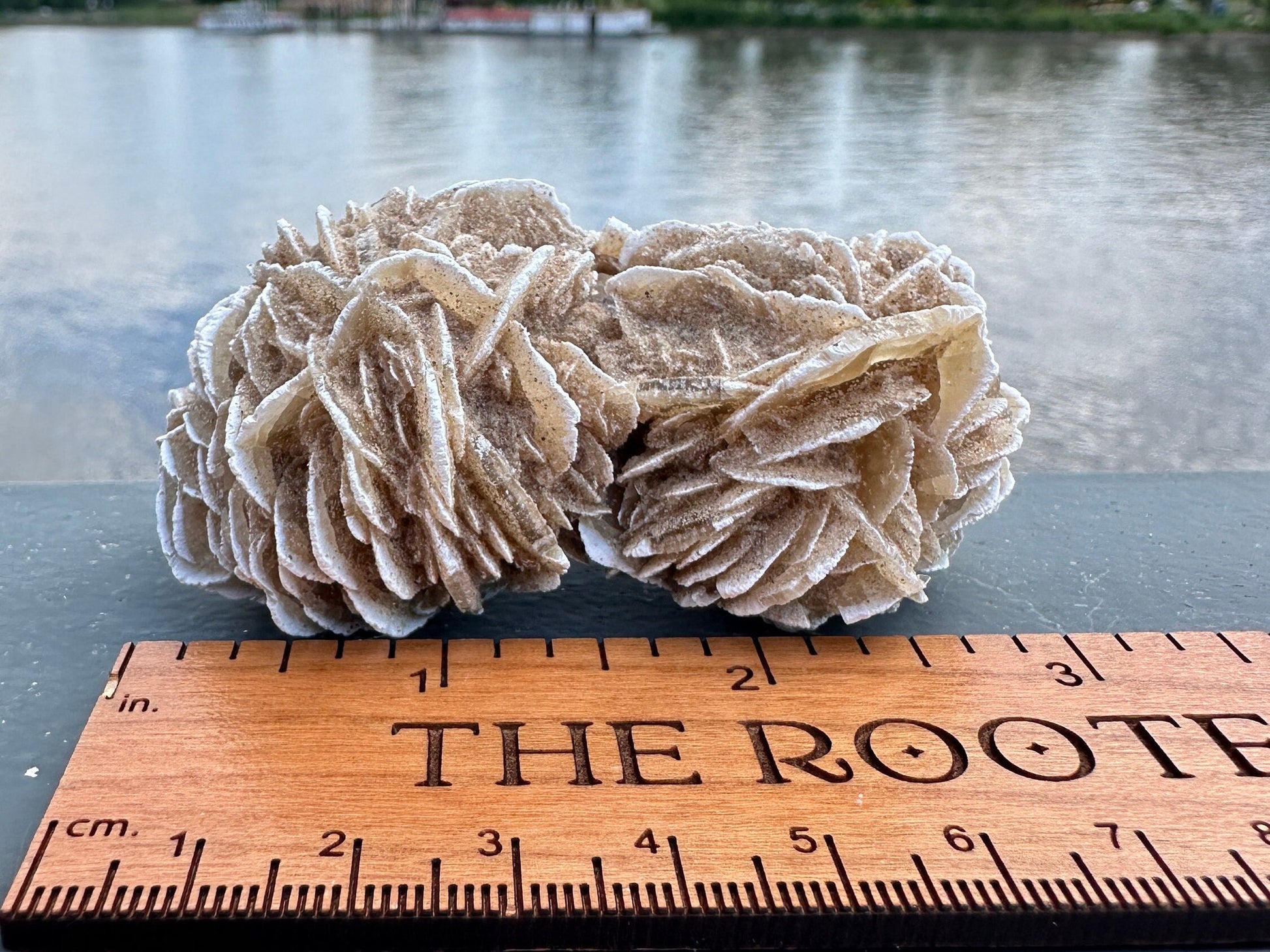 Pretty Raw Desert Rose Selenite Cluster