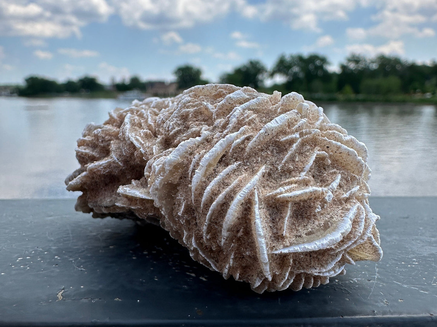 Pretty Raw Desert Rose Selenite Cluster