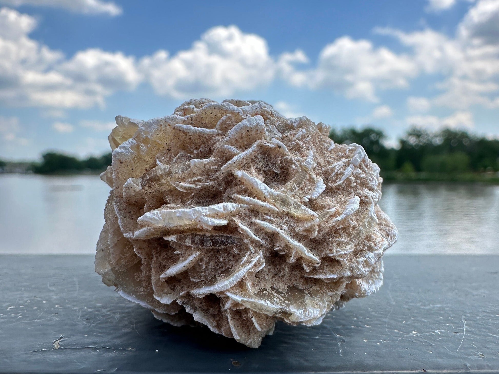 Pretty Raw Desert Rose Selenite Cluster