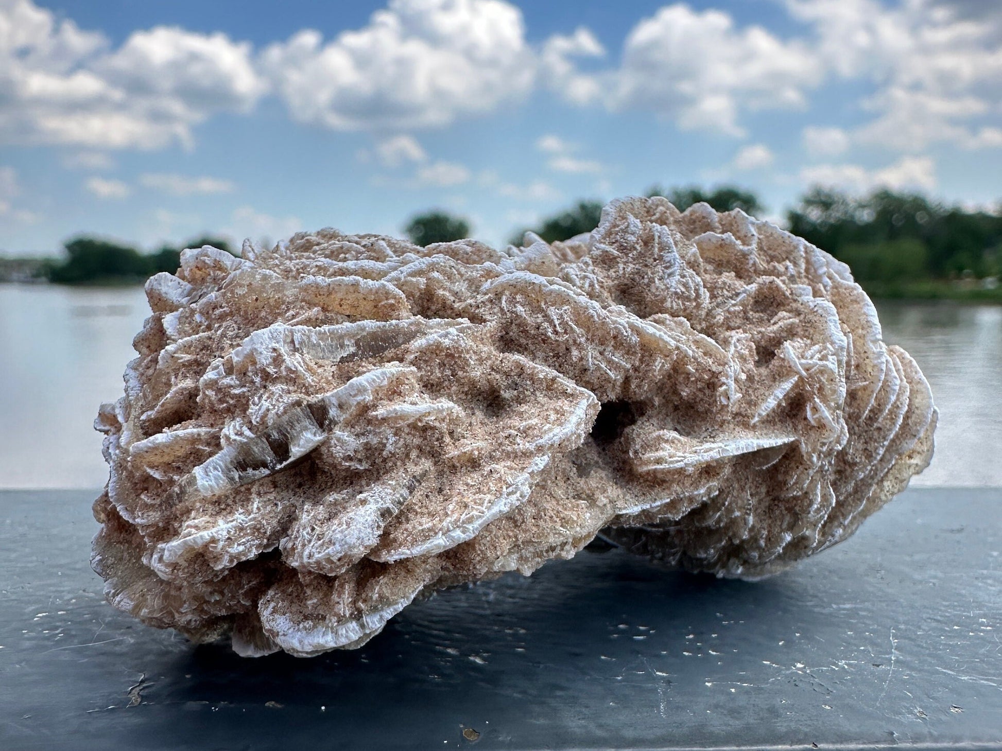 Pretty Raw Desert Rose Selenite Cluster