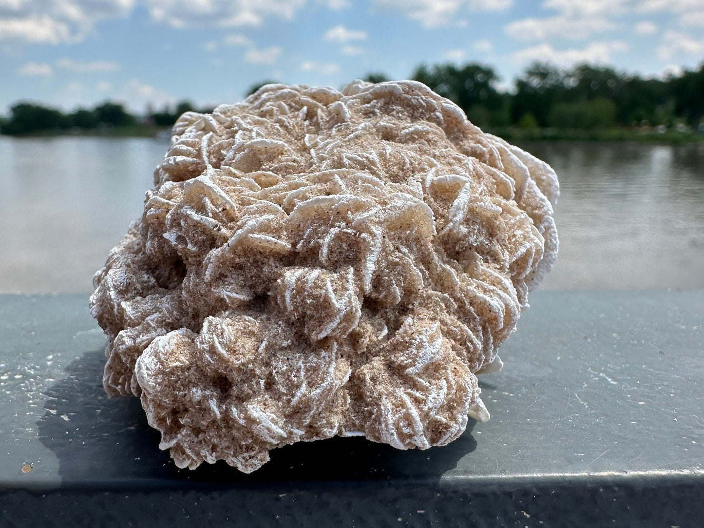 Pretty Raw Desert Rose Selenite Cluster