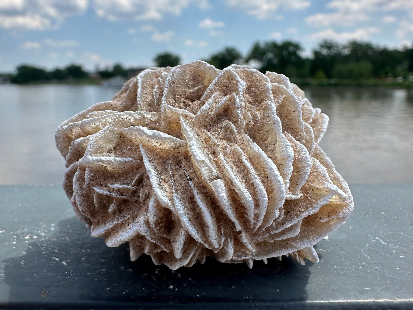 Pretty Raw Desert Rose Selenite Cluster