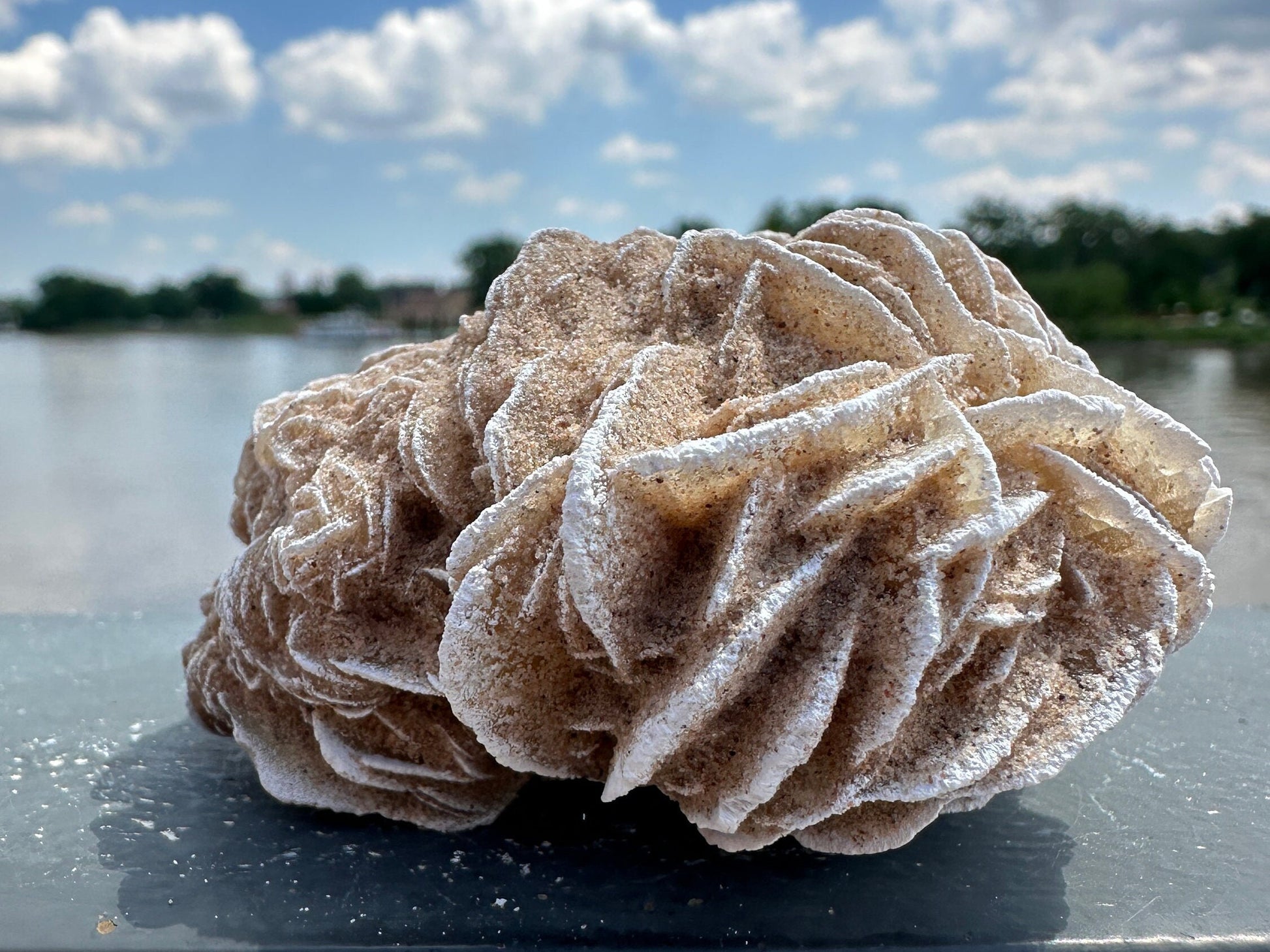 Pretty Raw Desert Rose Selenite Cluster