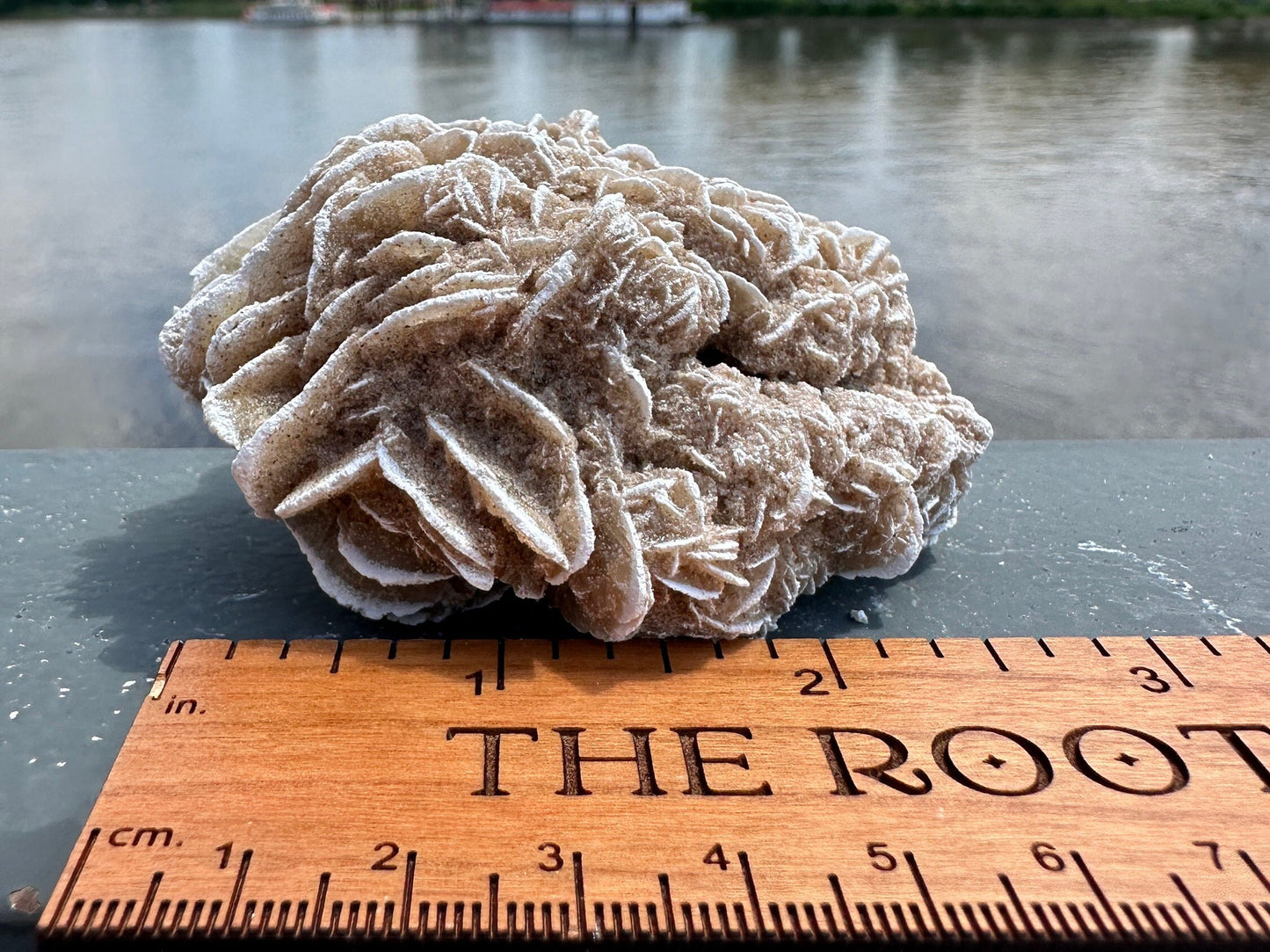 Pretty Raw Desert Rose Selenite Cluster