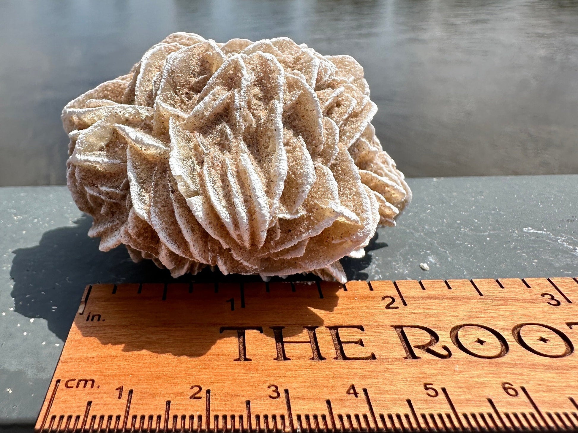 Pretty Raw Desert Rose Selenite Cluster