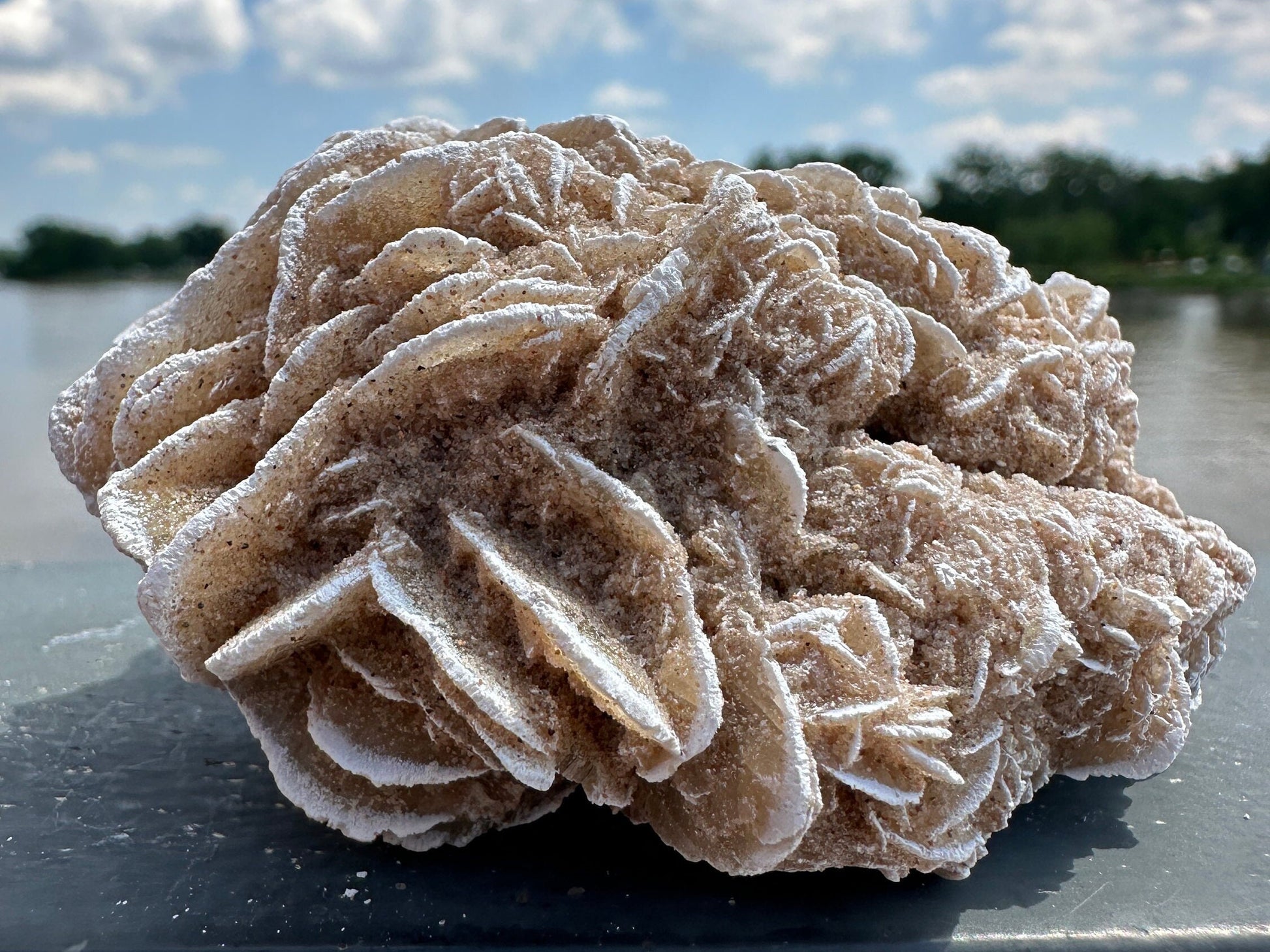 Pretty Raw Desert Rose Selenite Cluster