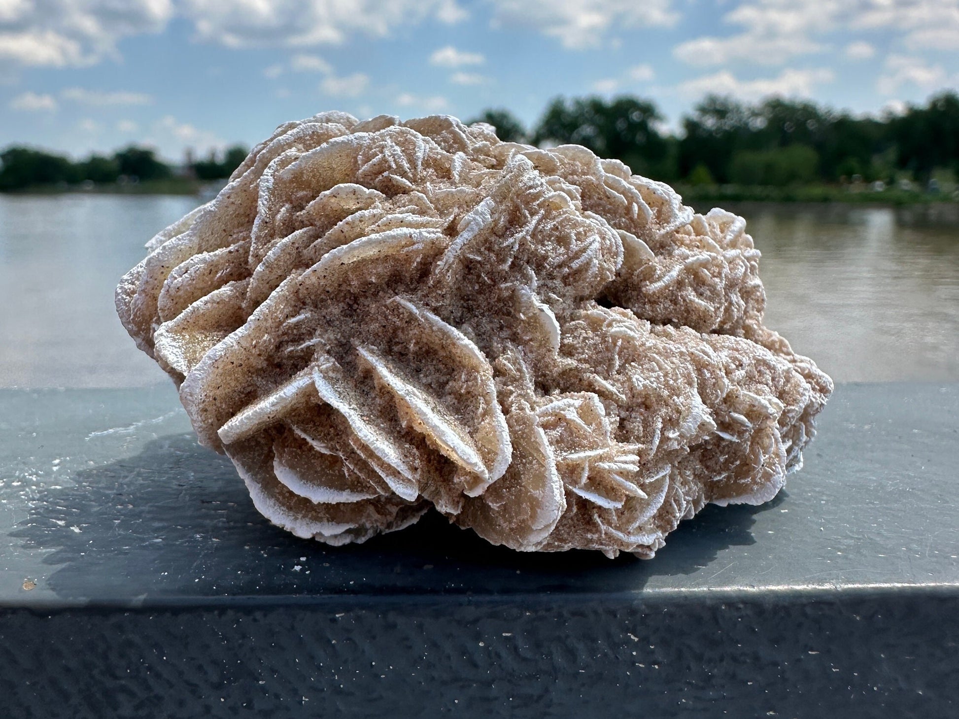 Pretty Raw Desert Rose Selenite Cluster