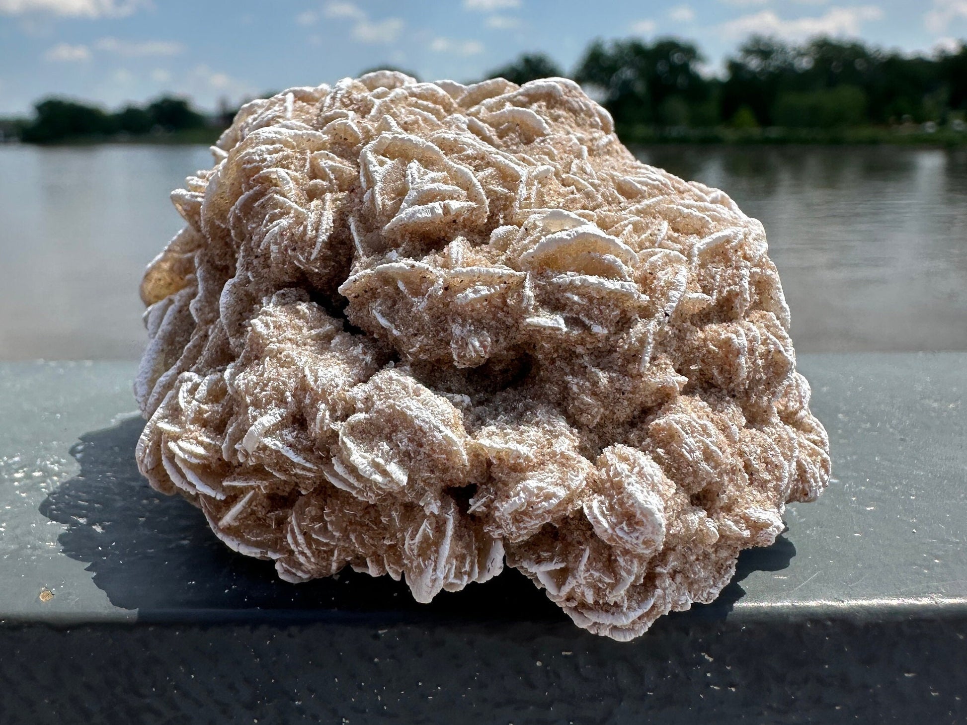 Pretty Raw Desert Rose Selenite Cluster