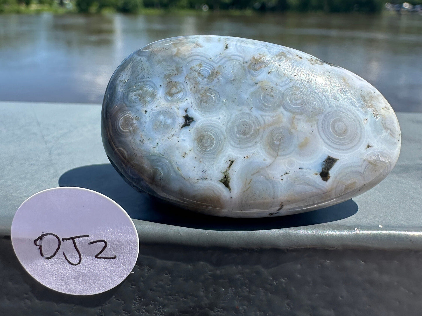 High Quality Orbicular Ocean Jasper Palm Stone