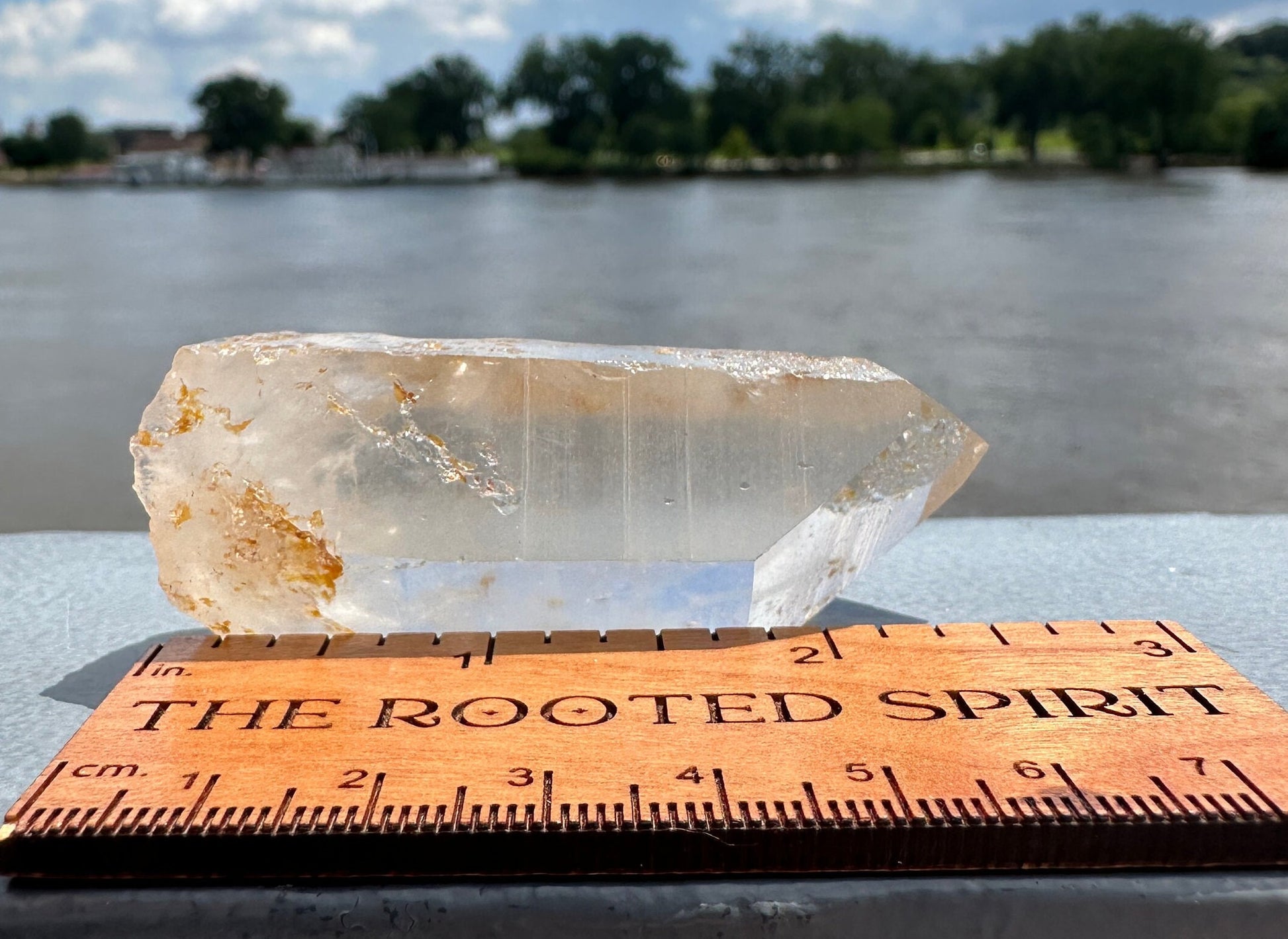 Stunning Rare Raw Golden Healer Lemurian Point