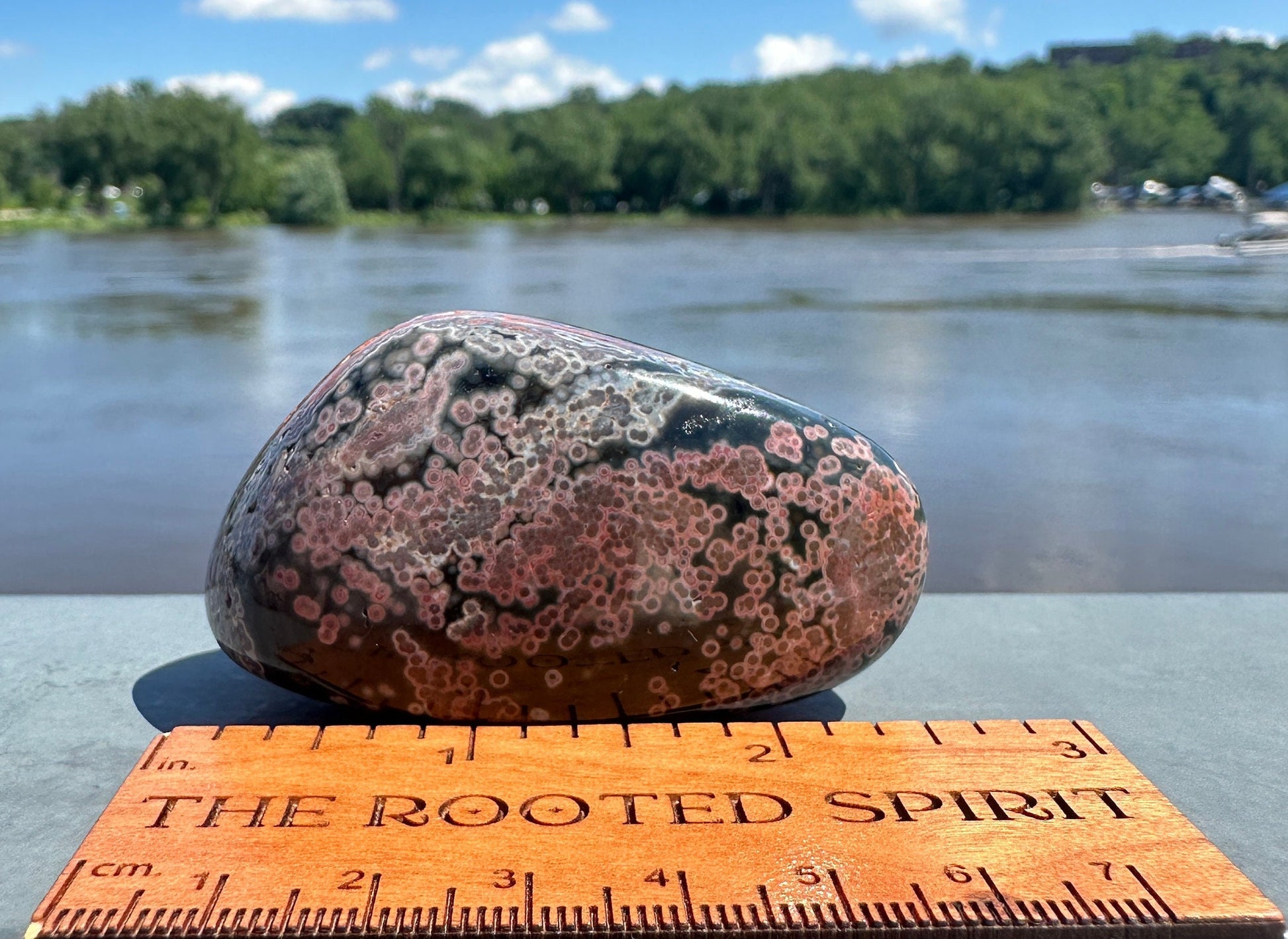 High Quality Orbicular Ocean Jasper Palm Stone