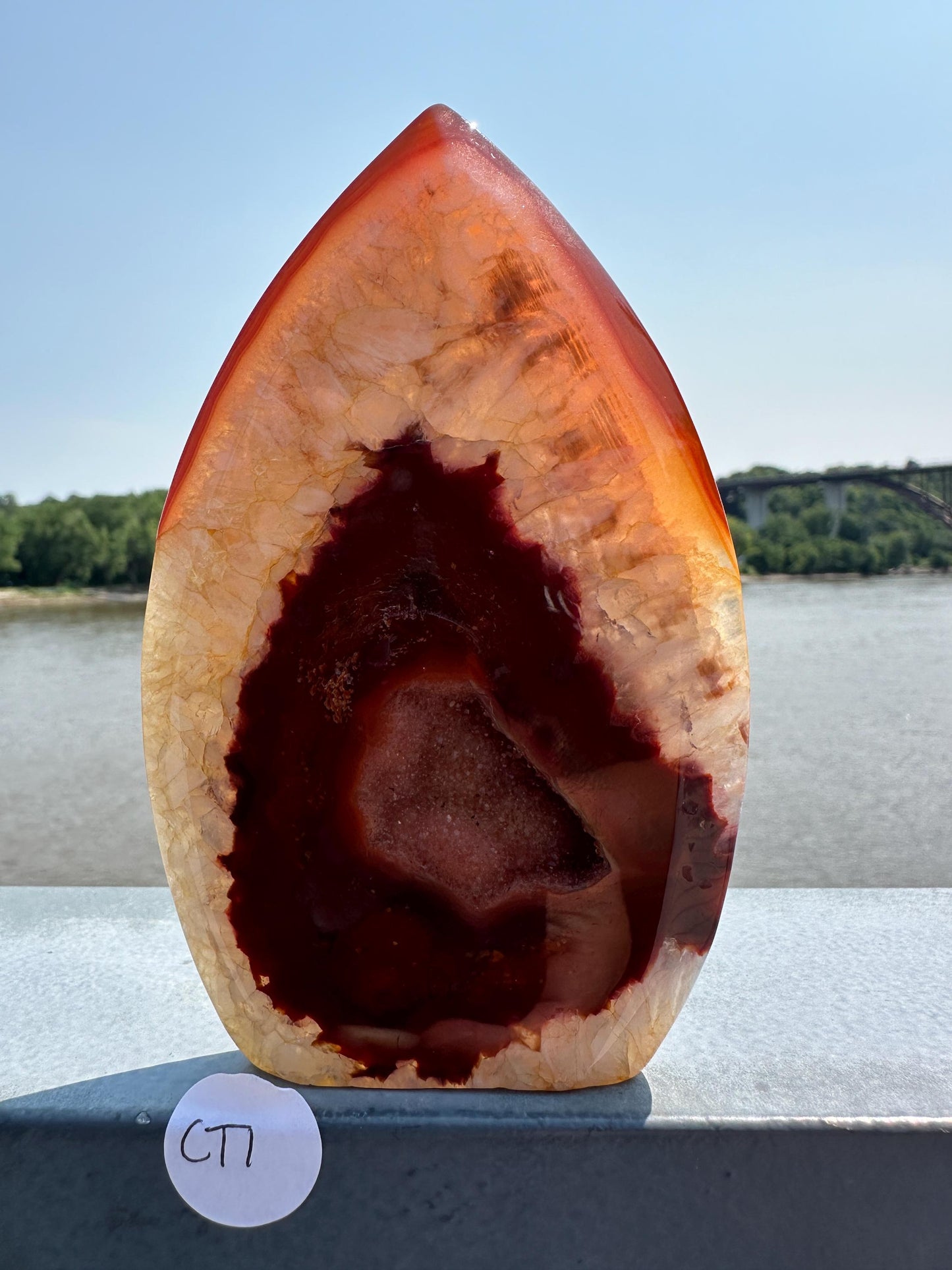 Stunning Carnelian Freeform with Druzy Pocket