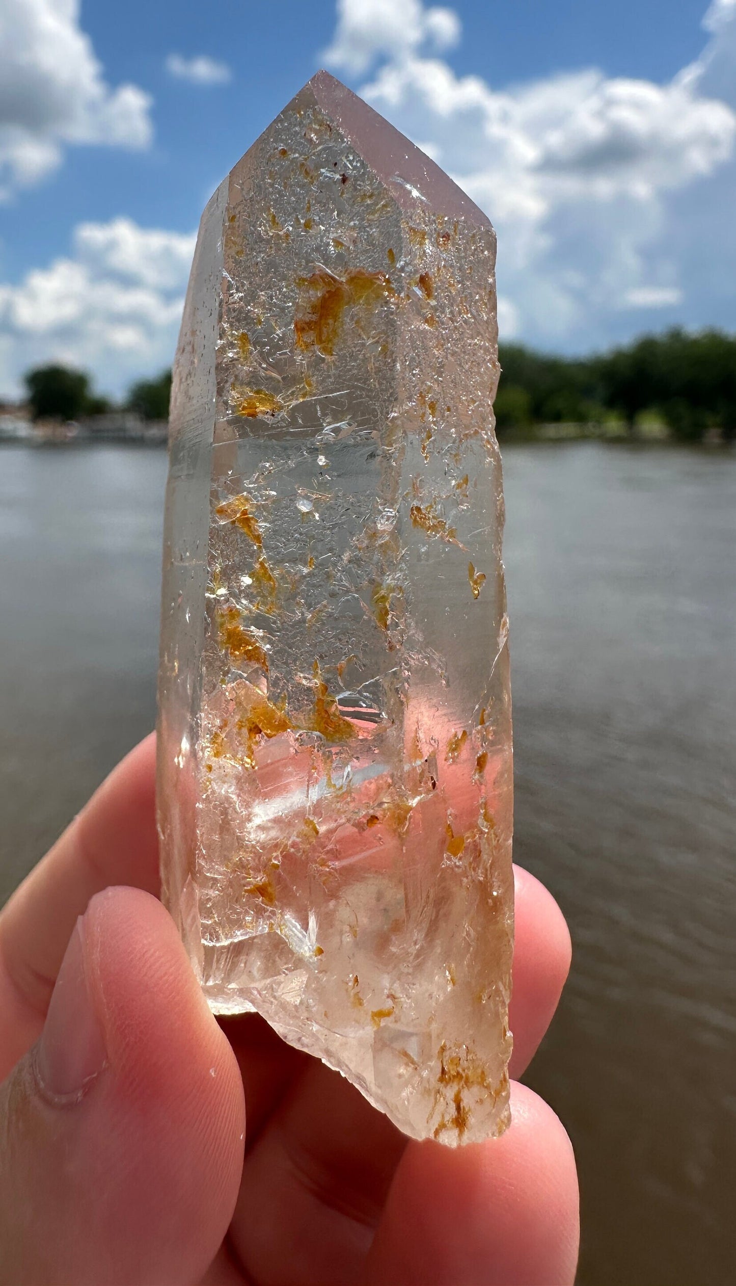 Stunning Rare Raw Golden Healer Lemurian Point