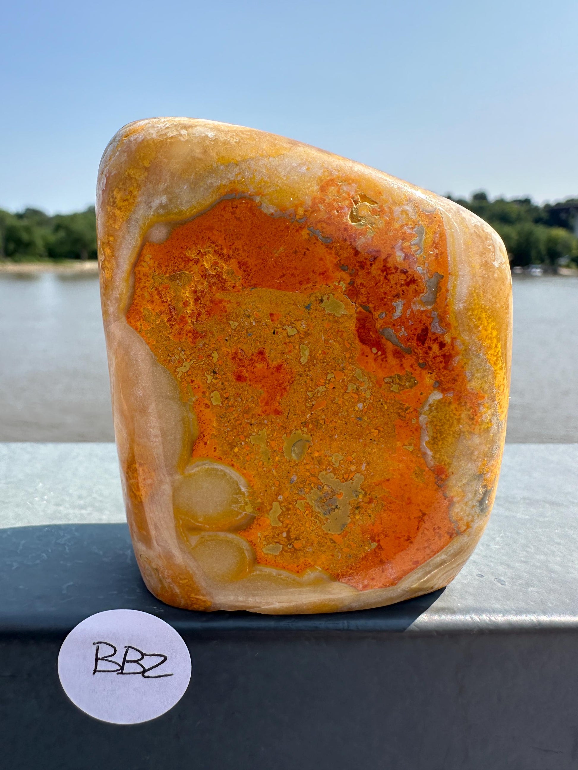 Vibrant Bumble Bee Jasper Freeform | Polished Crystal Specimen | Sacred Chakra | Bumble Bee Jasper | Happiness | Creativity