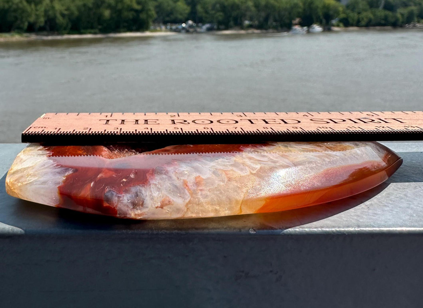 Stunning Carnelian Freeform with Druzy Pocket