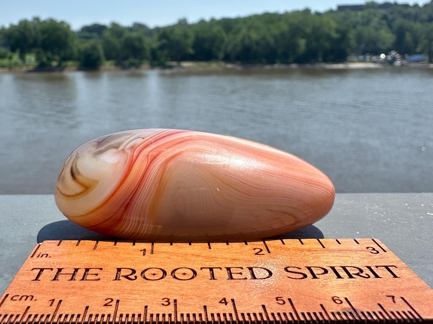 Gorgeous Sardonyx Palm Stone Banded Agate