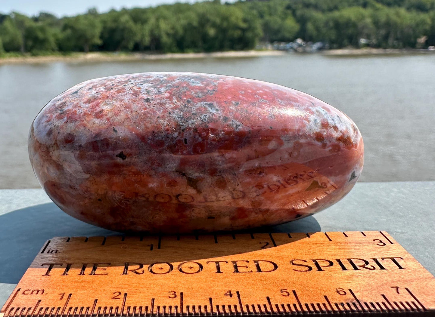 High Quality Orbicular Ocean Jasper Palm Stone