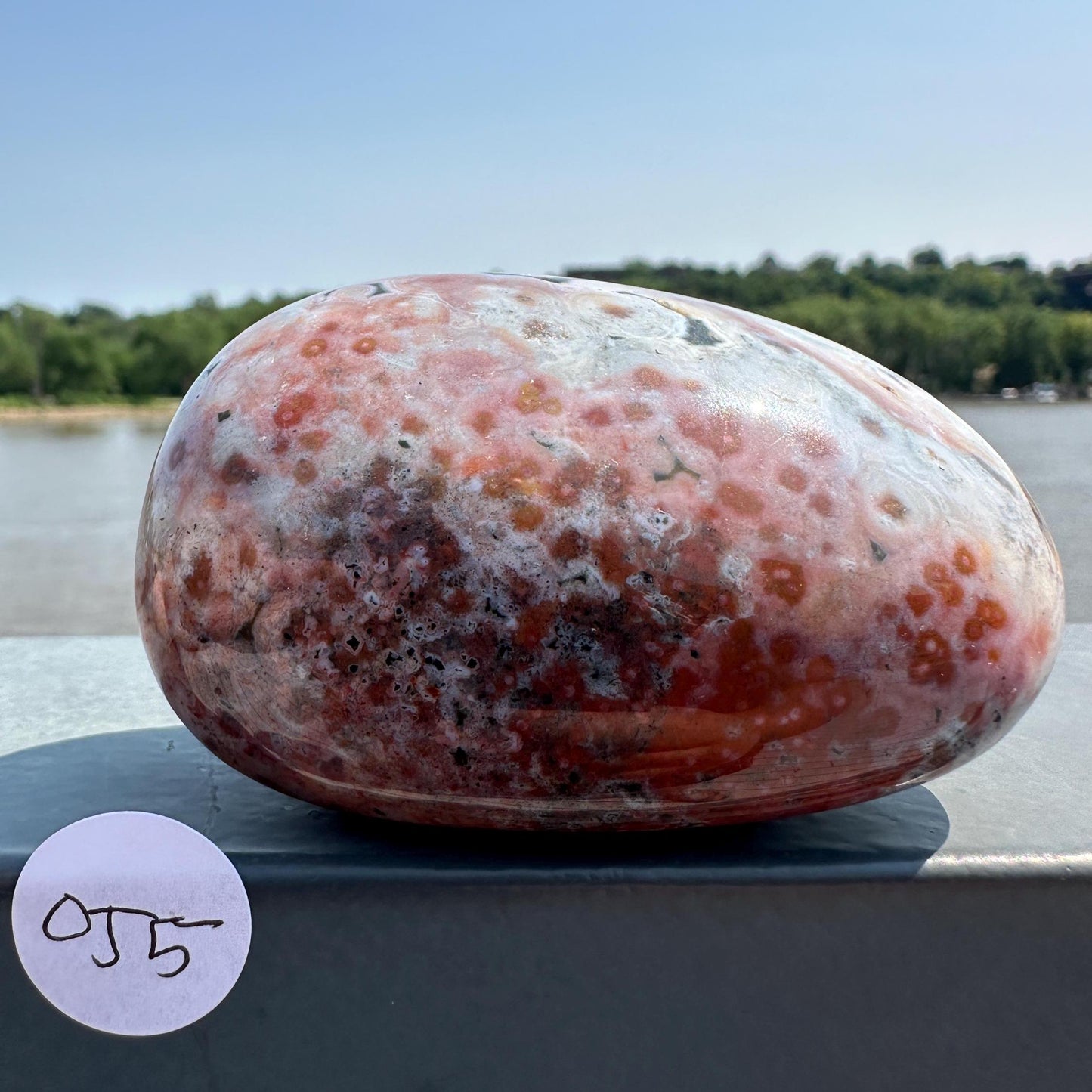 High Quality Orbicular Ocean Jasper Palm Stone