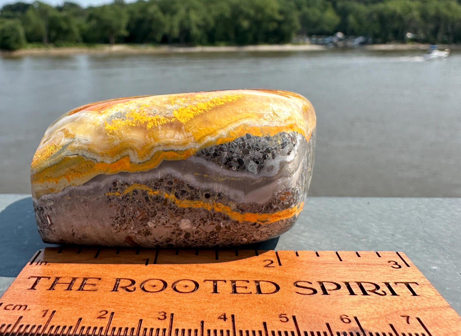 Vibrant Bumble Bee Jasper Freeform | Polished Crystal Specimen | Sacred Chakra | Bumble Bee Jasper | Happiness | Creativity