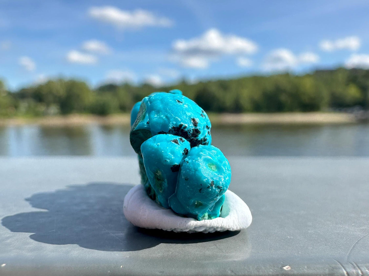 Chrysocolla Specimen | Botryoidal Crystals | Manifestation | Transformation | Love | Protection | Abundance | Altar | Meditation