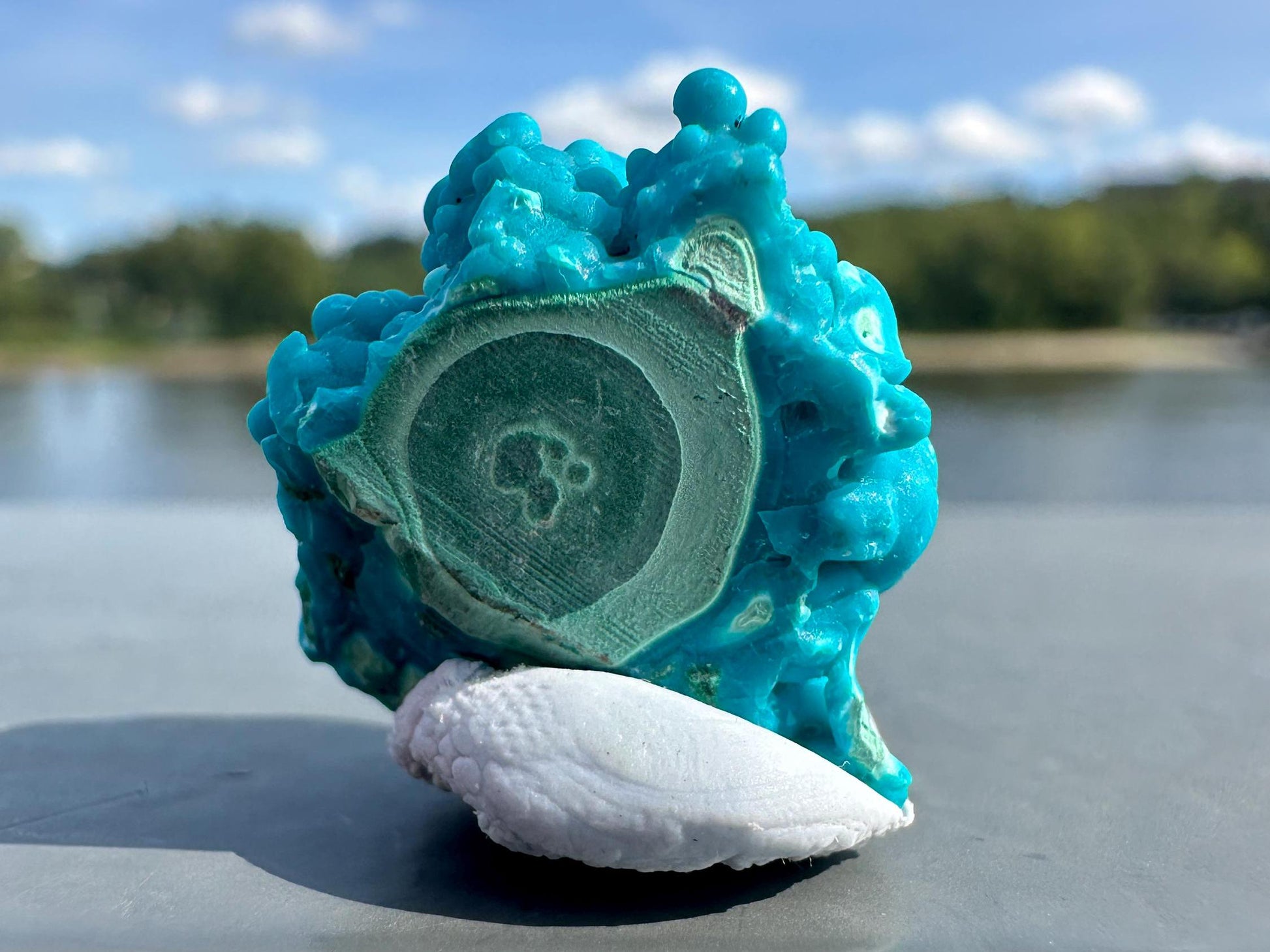 Chrysocolla Specimen | Botryoidal Crystals | Manifestation | Transformation | Love | Protection | Abundance | Altar | Meditation