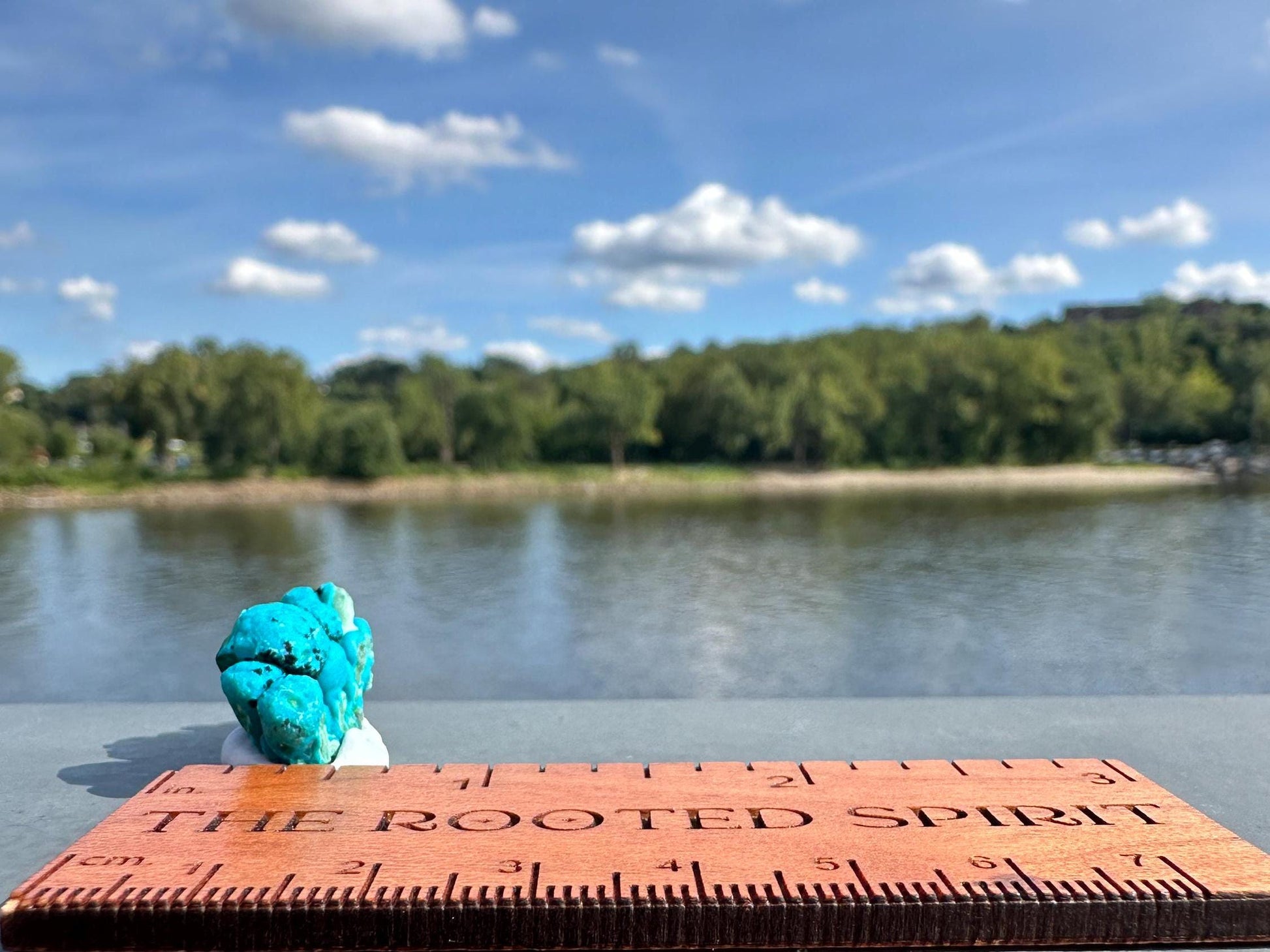 Chrysocolla Specimen | Botryoidal Crystals | Manifestation | Transformation | Love | Protection | Abundance | Altar | Meditation