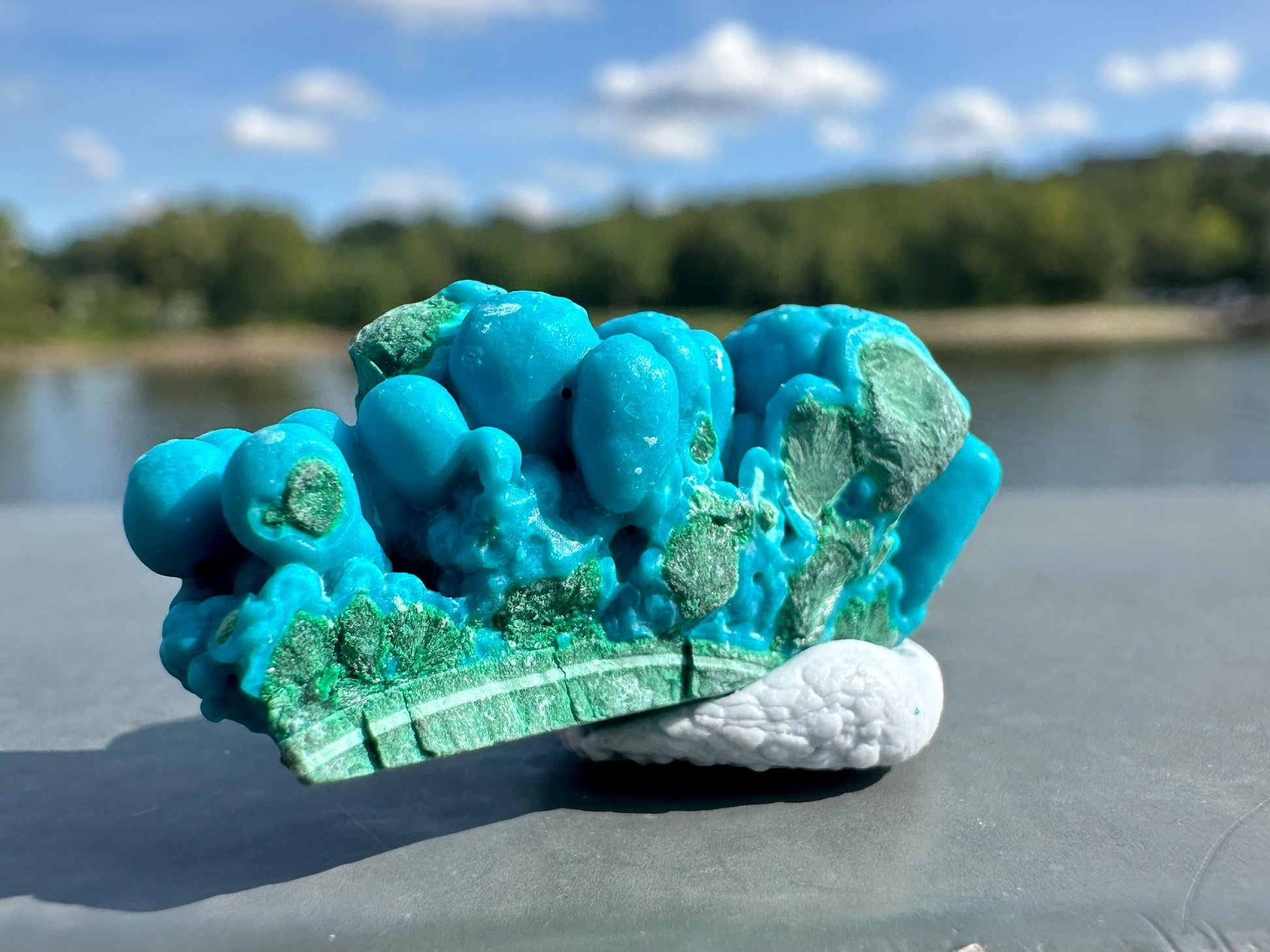 Chrysocolla Specimen | Botryoidal Crystals | Manifestation | Transformation | Love | Protection | Abundance | Altar | Meditation