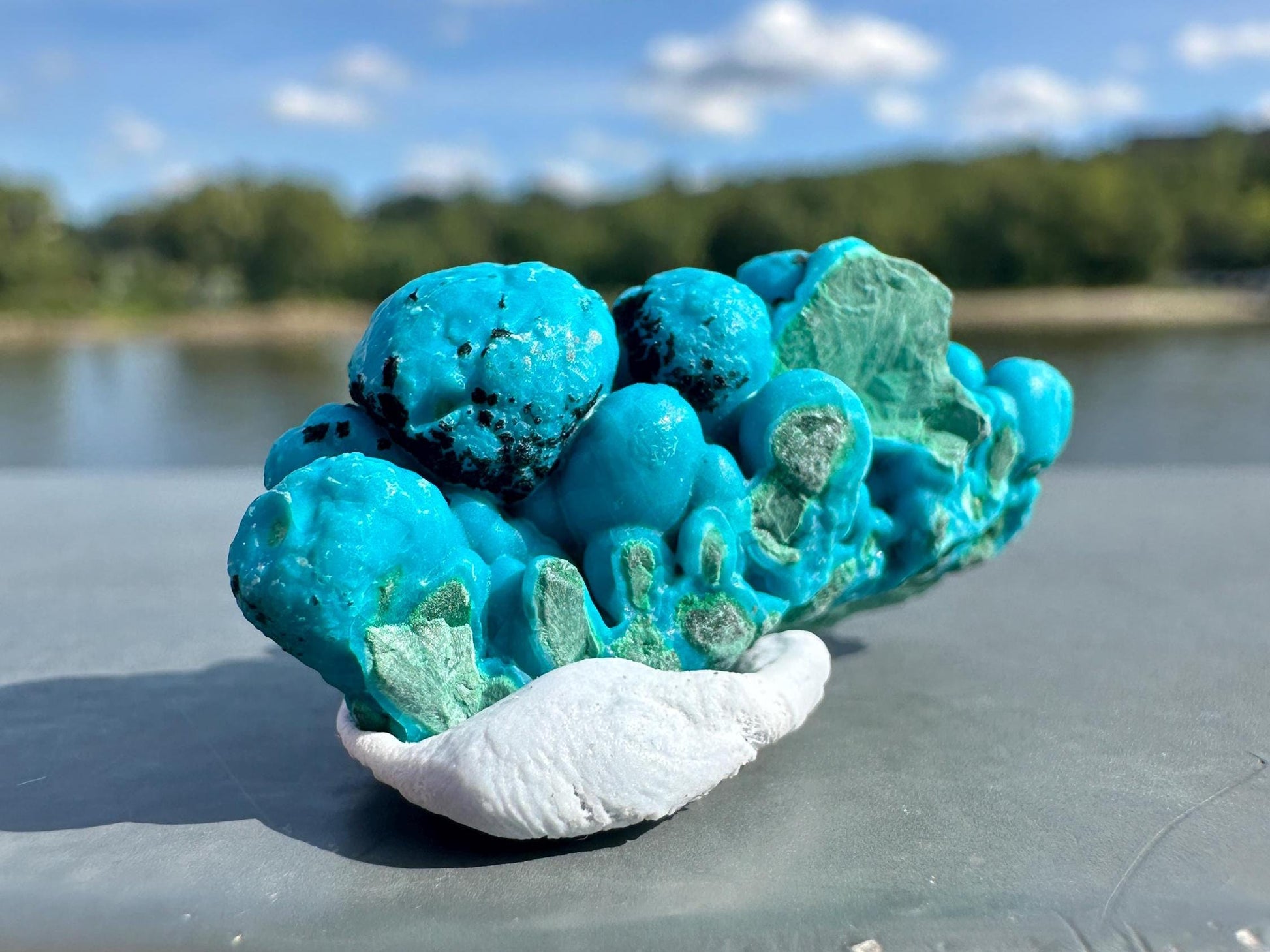 Chrysocolla Specimen | Botryoidal Crystals | Manifestation | Transformation | Love | Protection | Abundance | Altar | Meditation