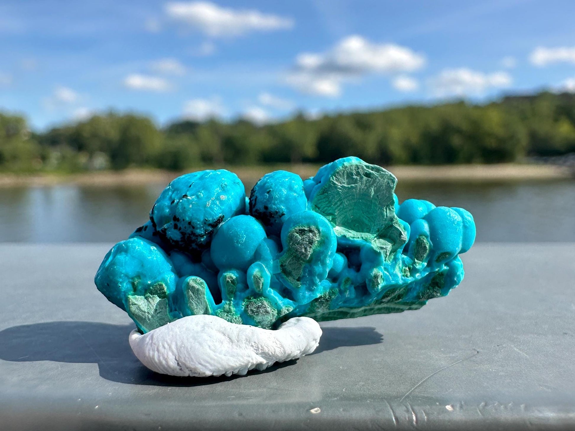 Chrysocolla Specimen | Botryoidal Crystals | Manifestation | Transformation | Love | Protection | Abundance | Altar | Meditation