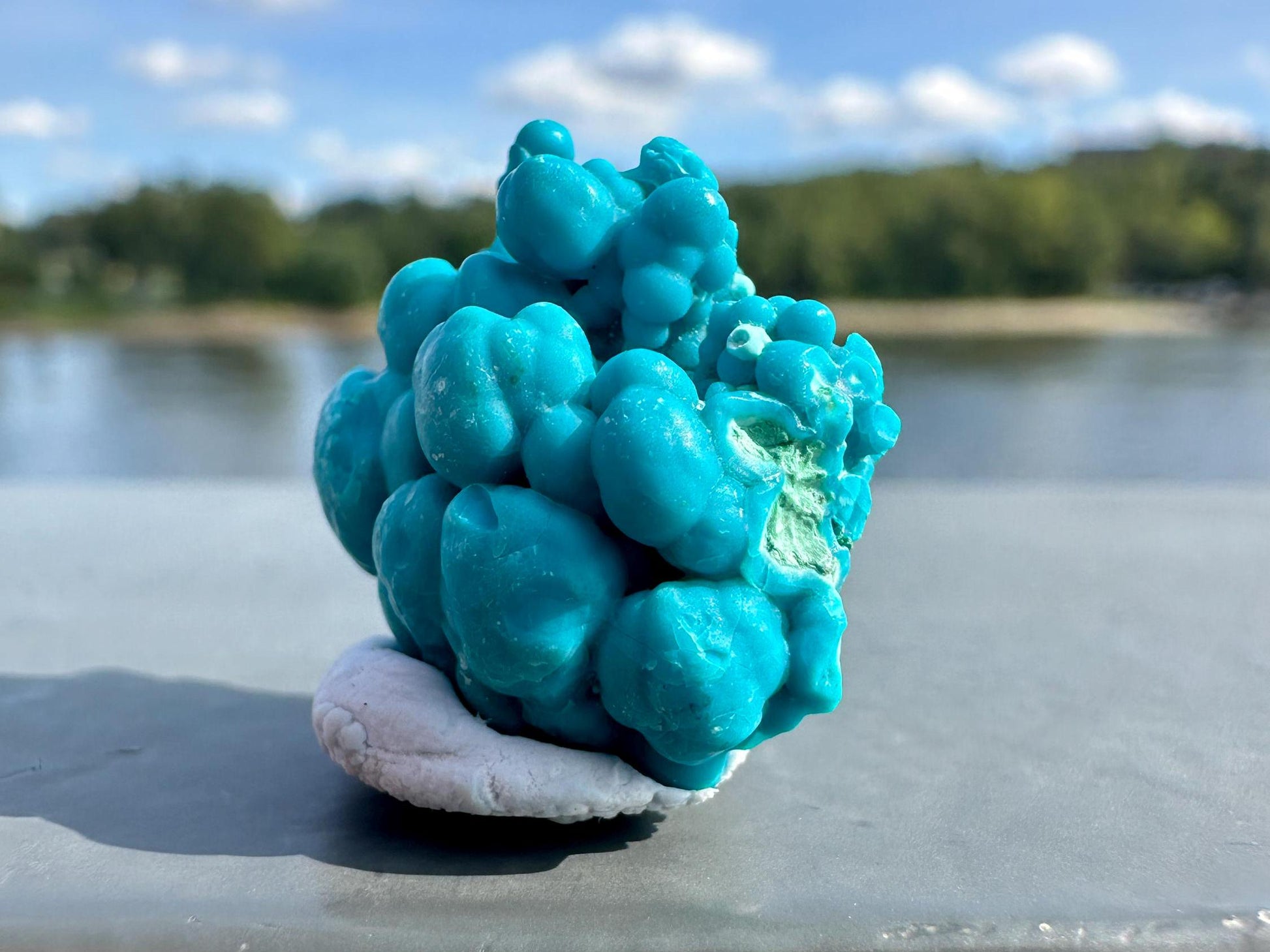 Chrysocolla Specimen | Botryoidal Crystals | Manifestation | Transformation | Love | Protection | Abundance | Altar | Meditation