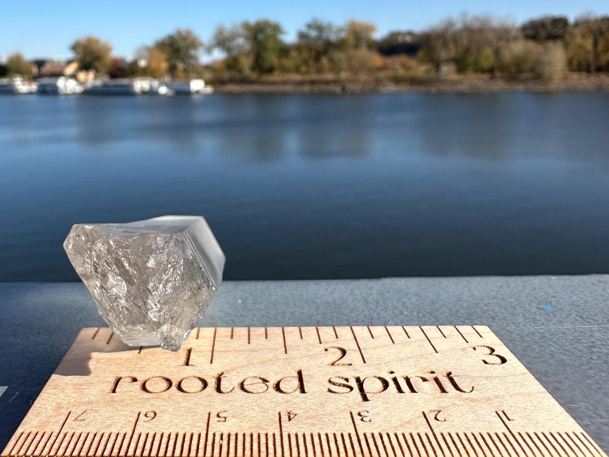 Gorgeous Raw Black Phantom Twin Lemurian Point