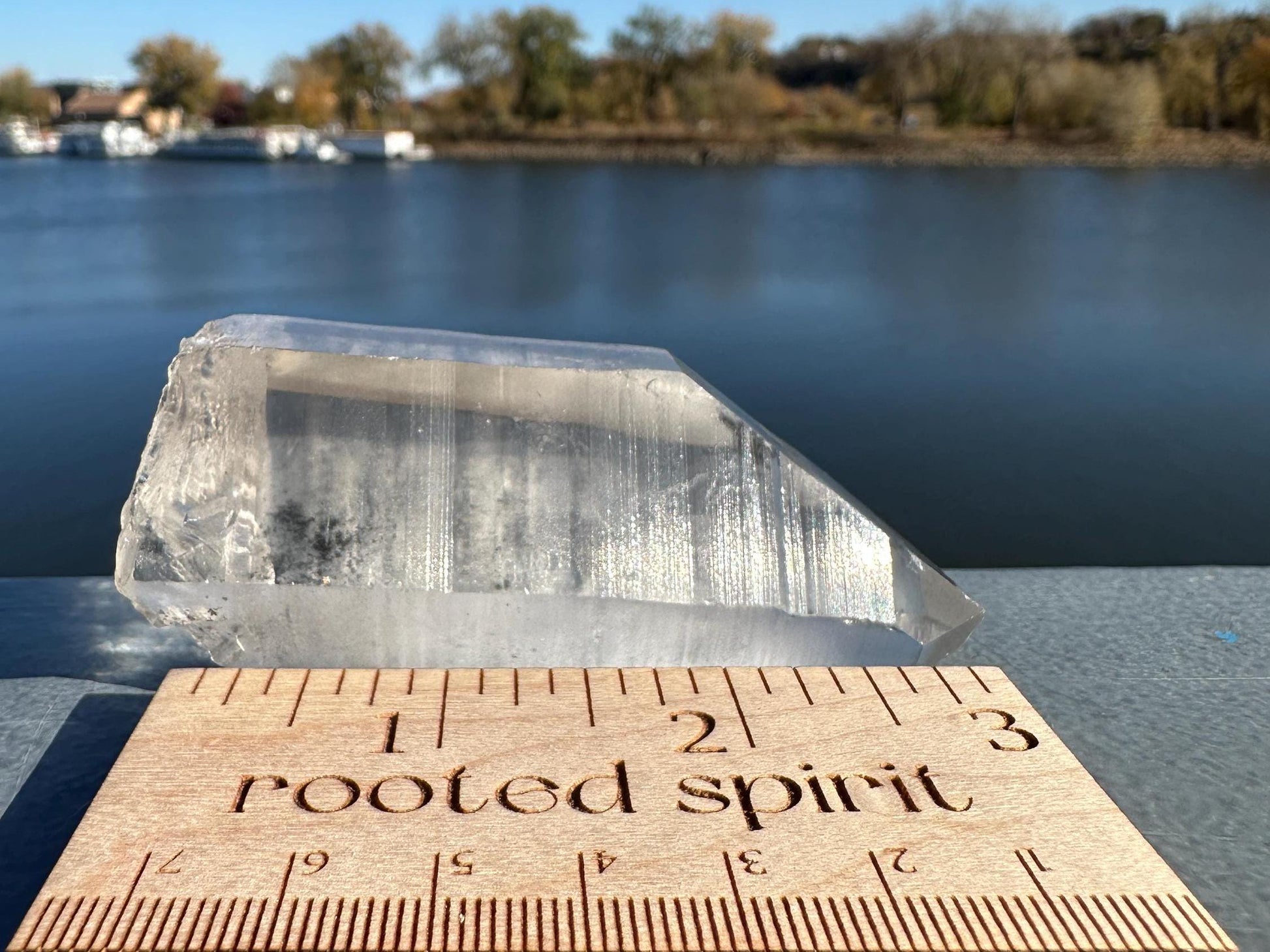 Gorgeous Raw Black Phantom Lemurian Point