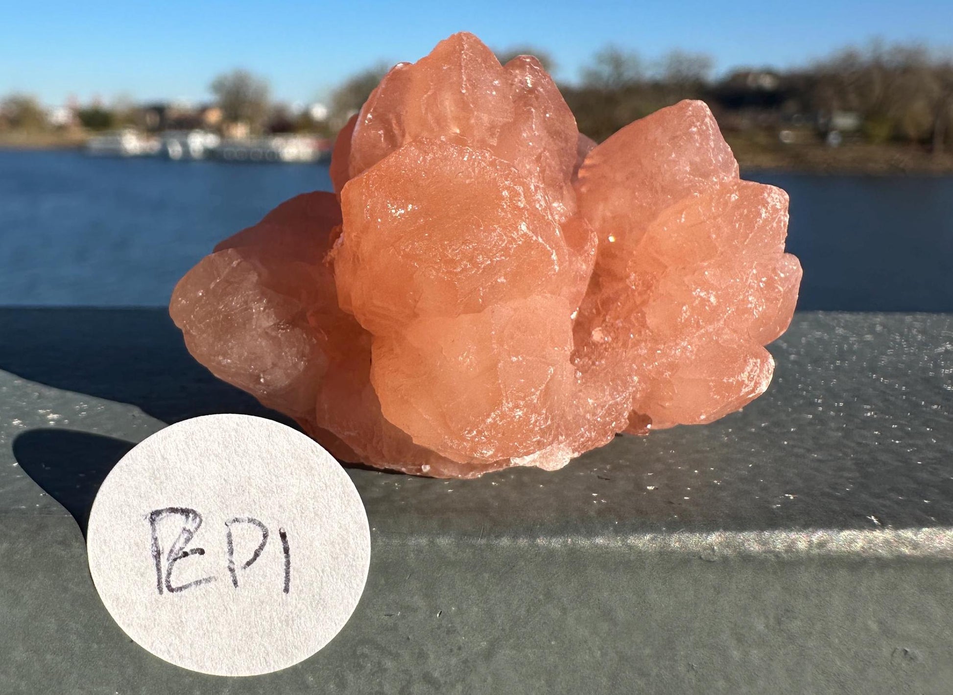 Stunning Pink Flower Quartz Natural Raw Specimen