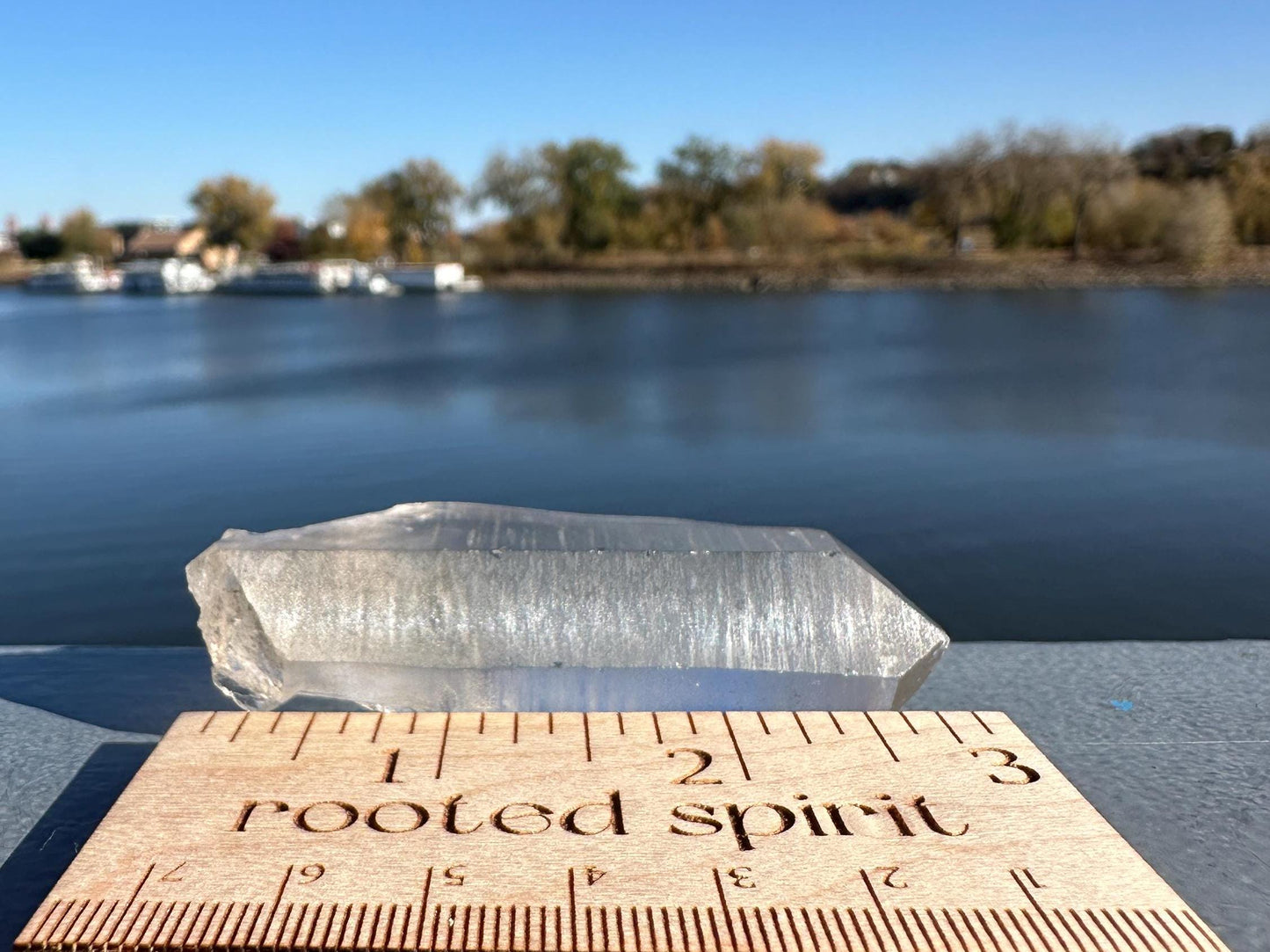 Gorgeous Raw Black Phantom Twin Lemurian Point