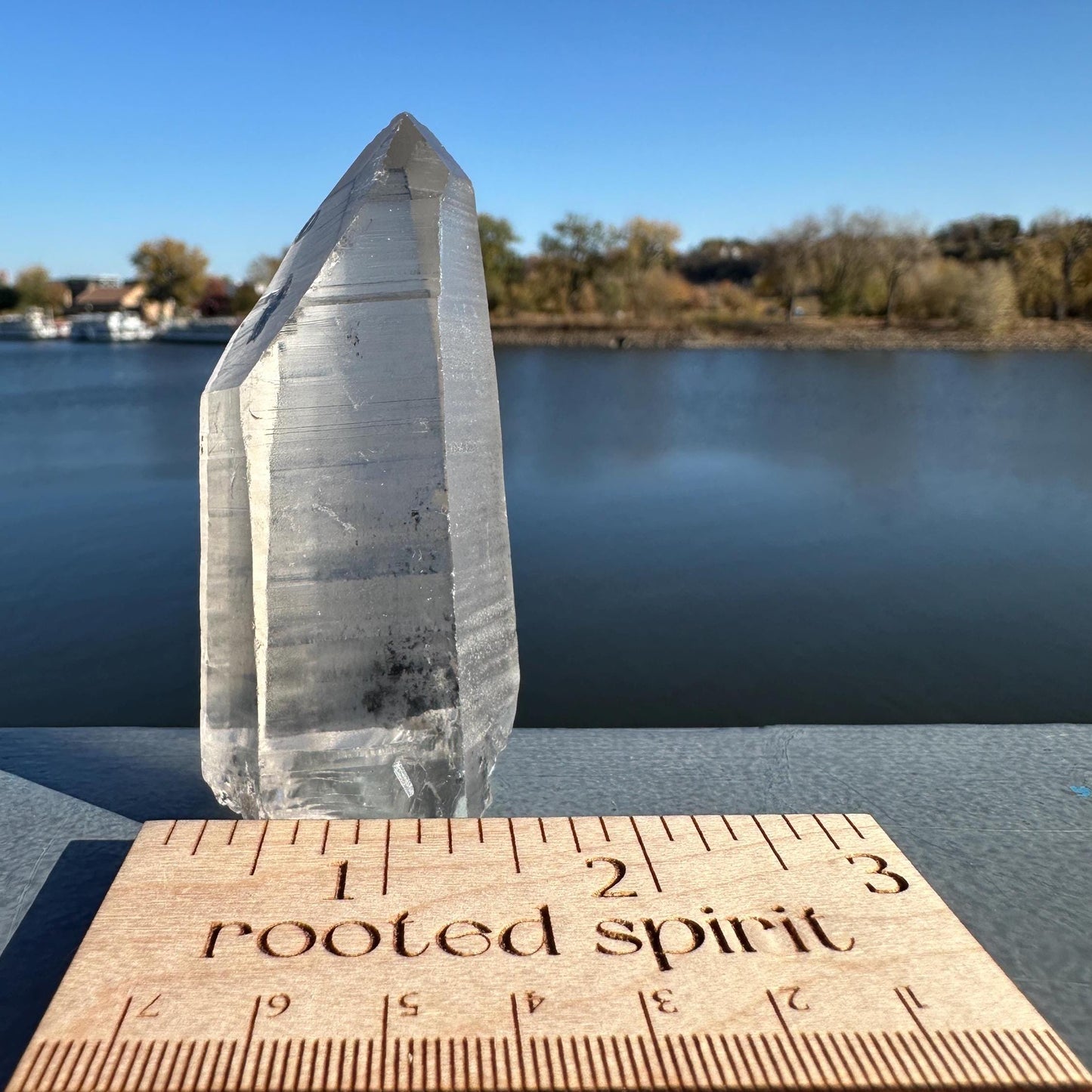 Gorgeous Raw Black Phantom Lemurian Point