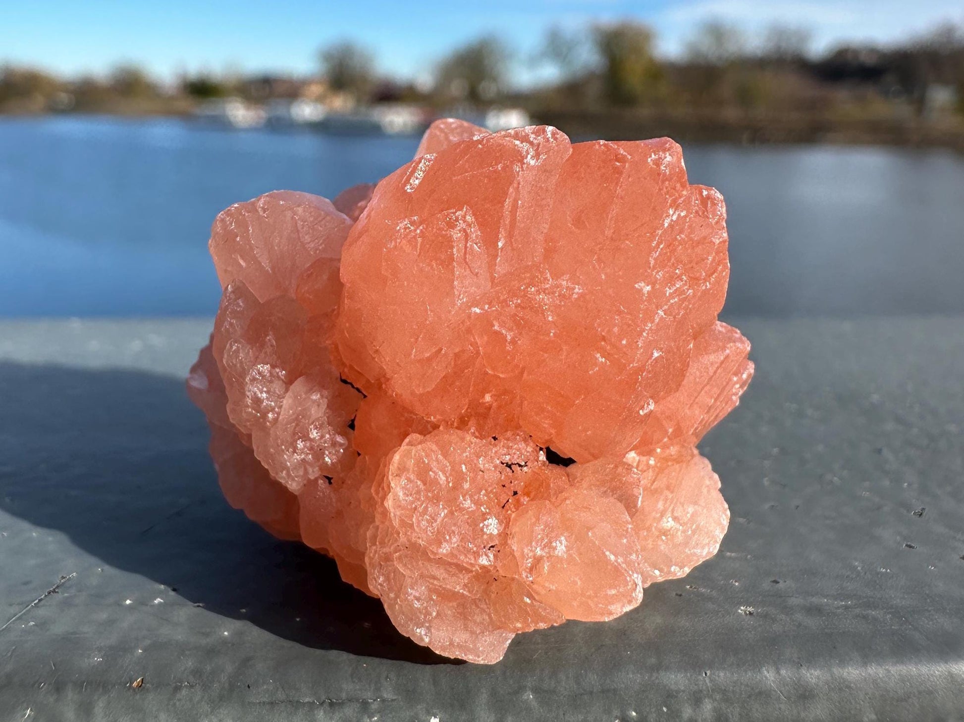 Stunning Pink Flower Quartz Natural Raw Specimen