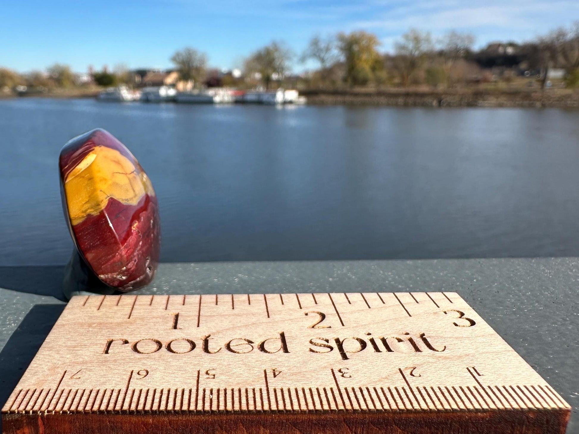 Gorgeous Natural Mookaite Jasper with Dendritic Agate Palm Stone